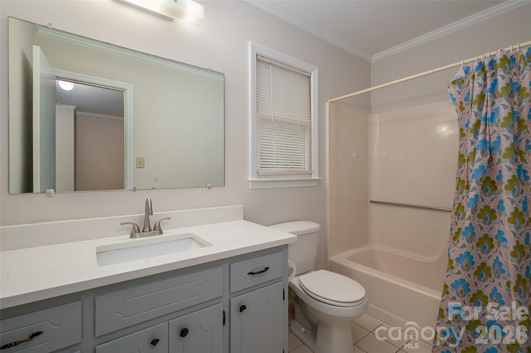 9112 Winter Moss Court — Charlotte