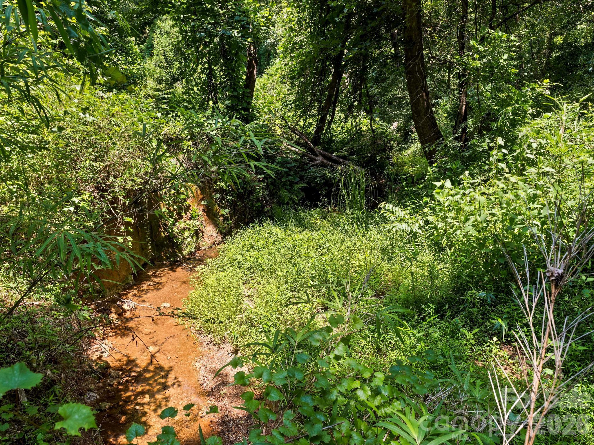 1541 Sandy Springs Road — Rutherfordton