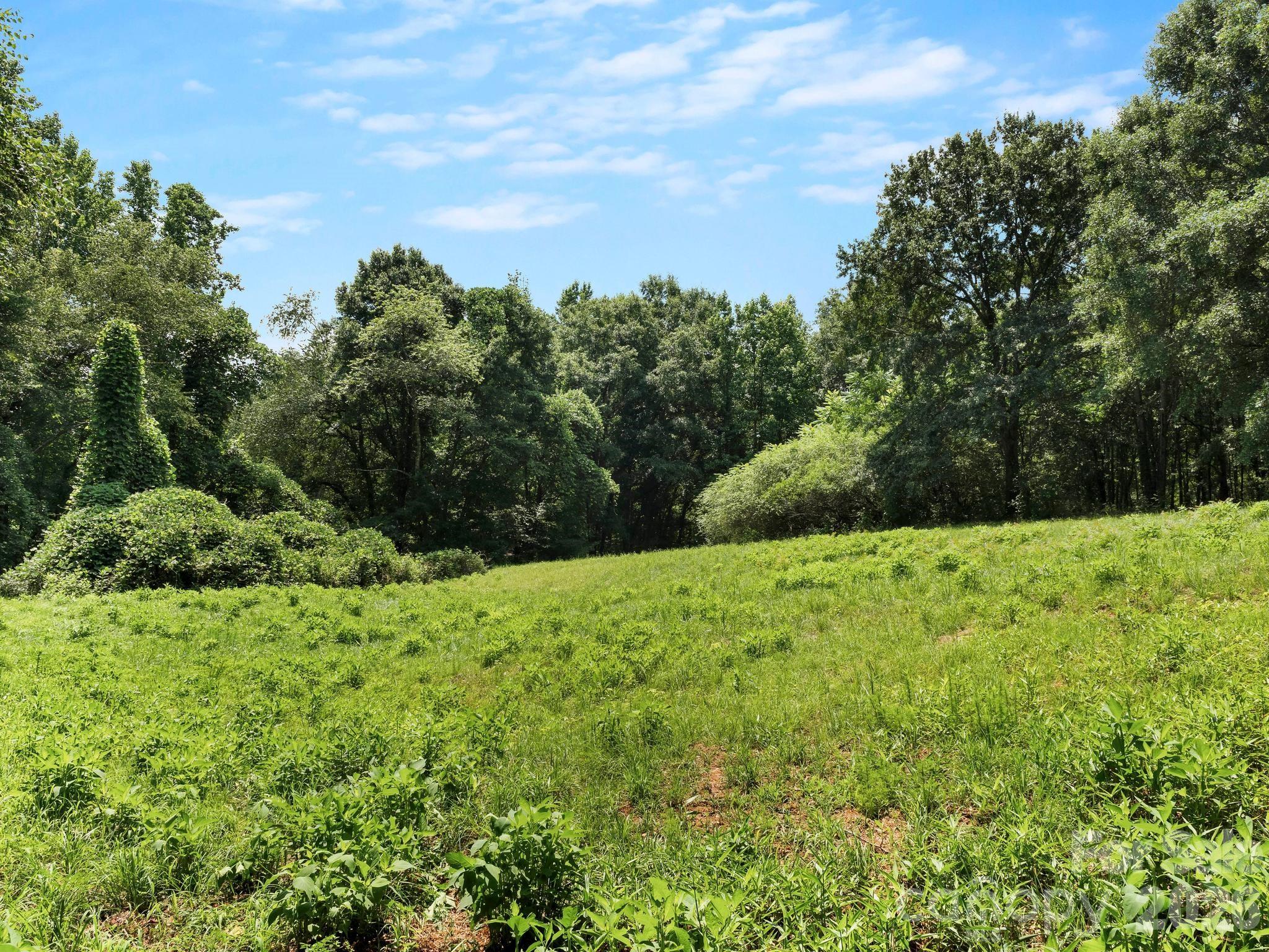 1541 Sandy Springs Road — Rutherfordton