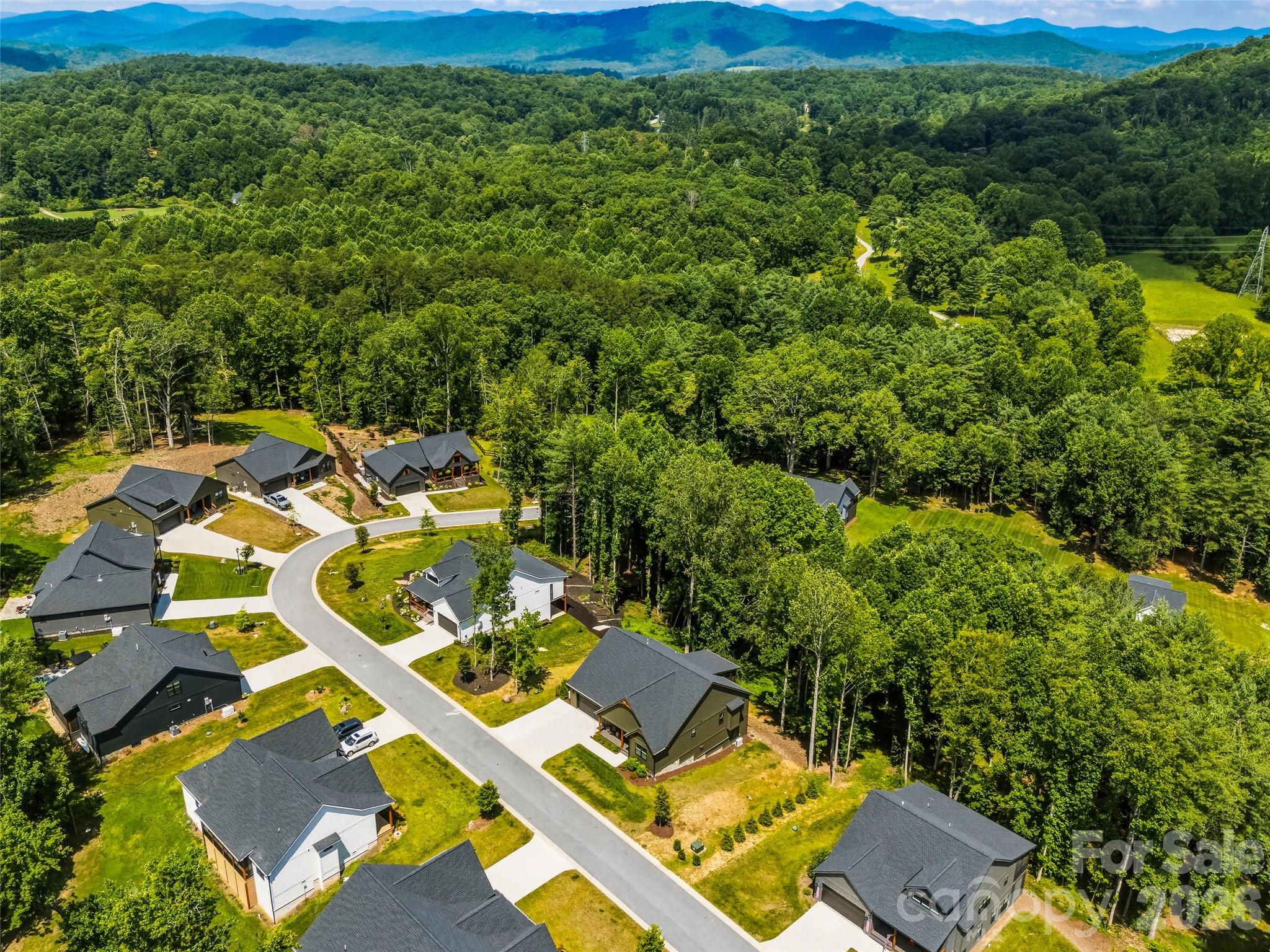 181 Byron Forest Drive — Horse Shoe
