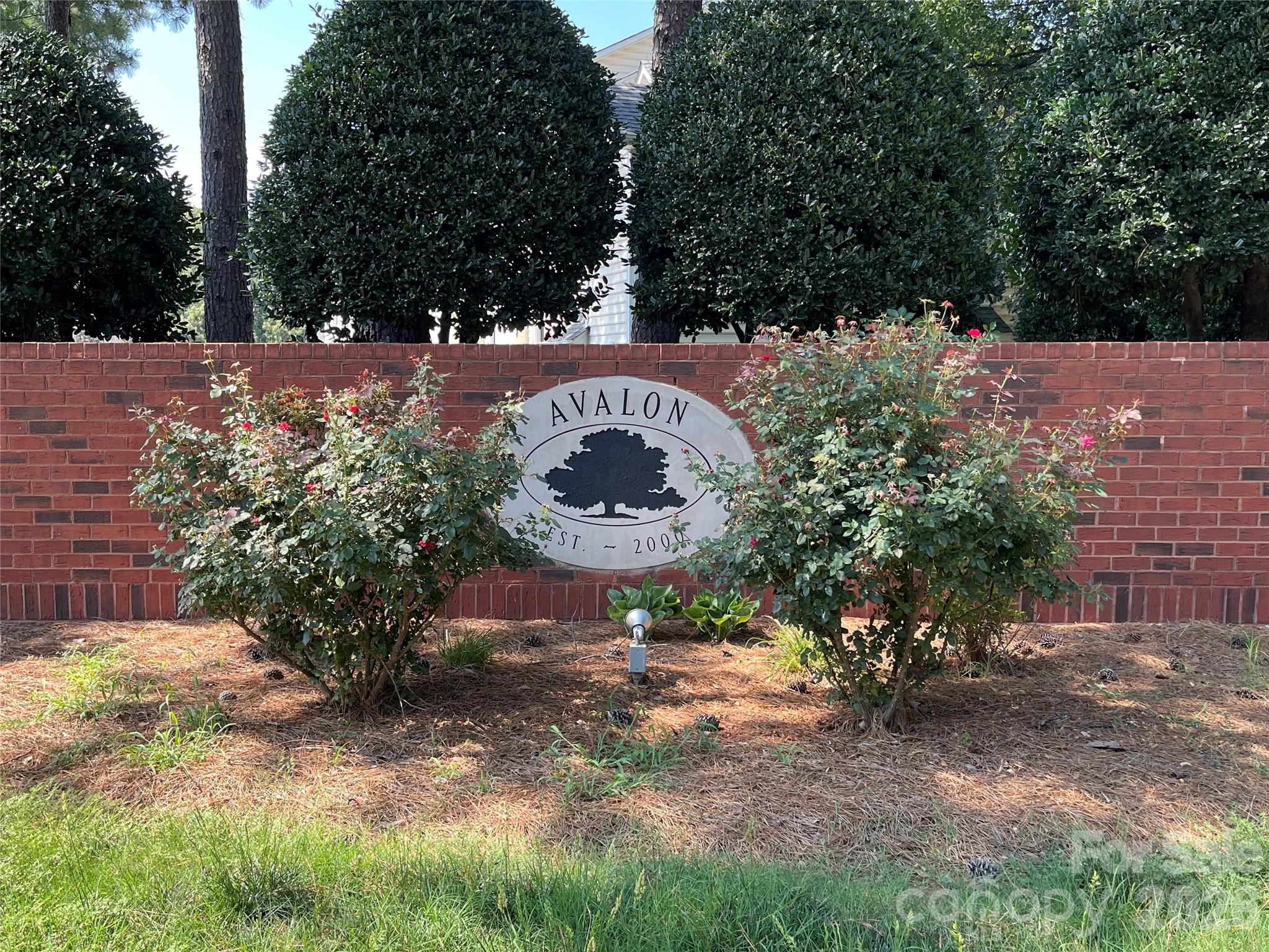 6320 Royal Celadon Way — Charlotte