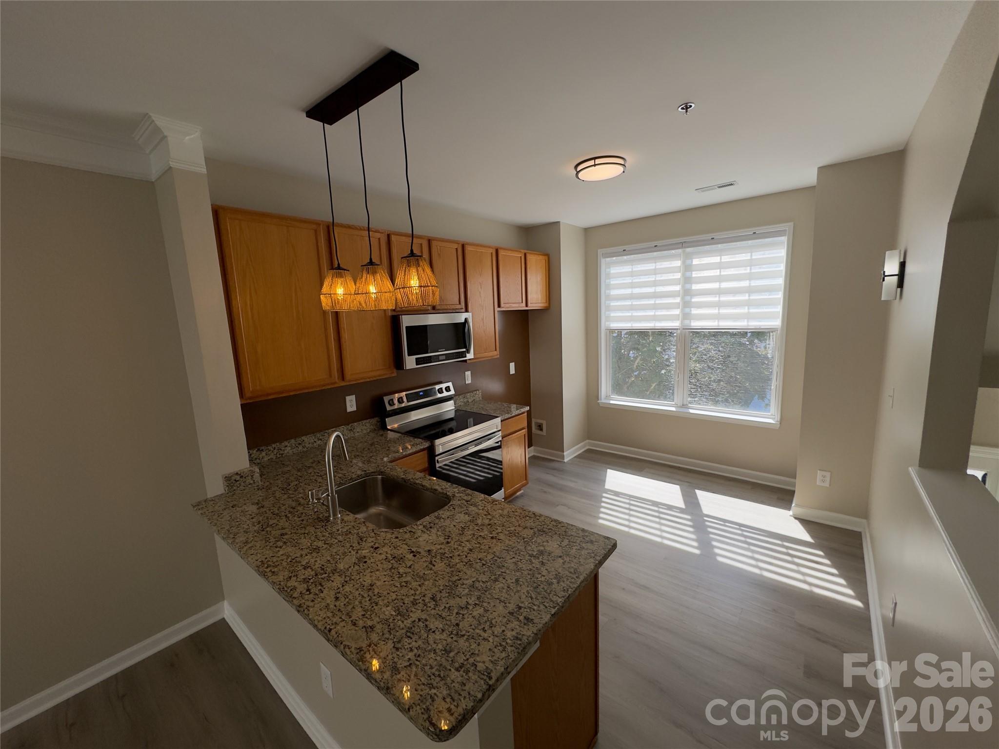 6320 Royal Celadon Way — Charlotte
