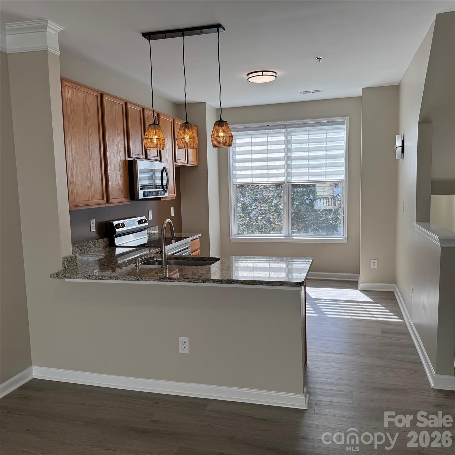 6320 Royal Celadon Way — Charlotte