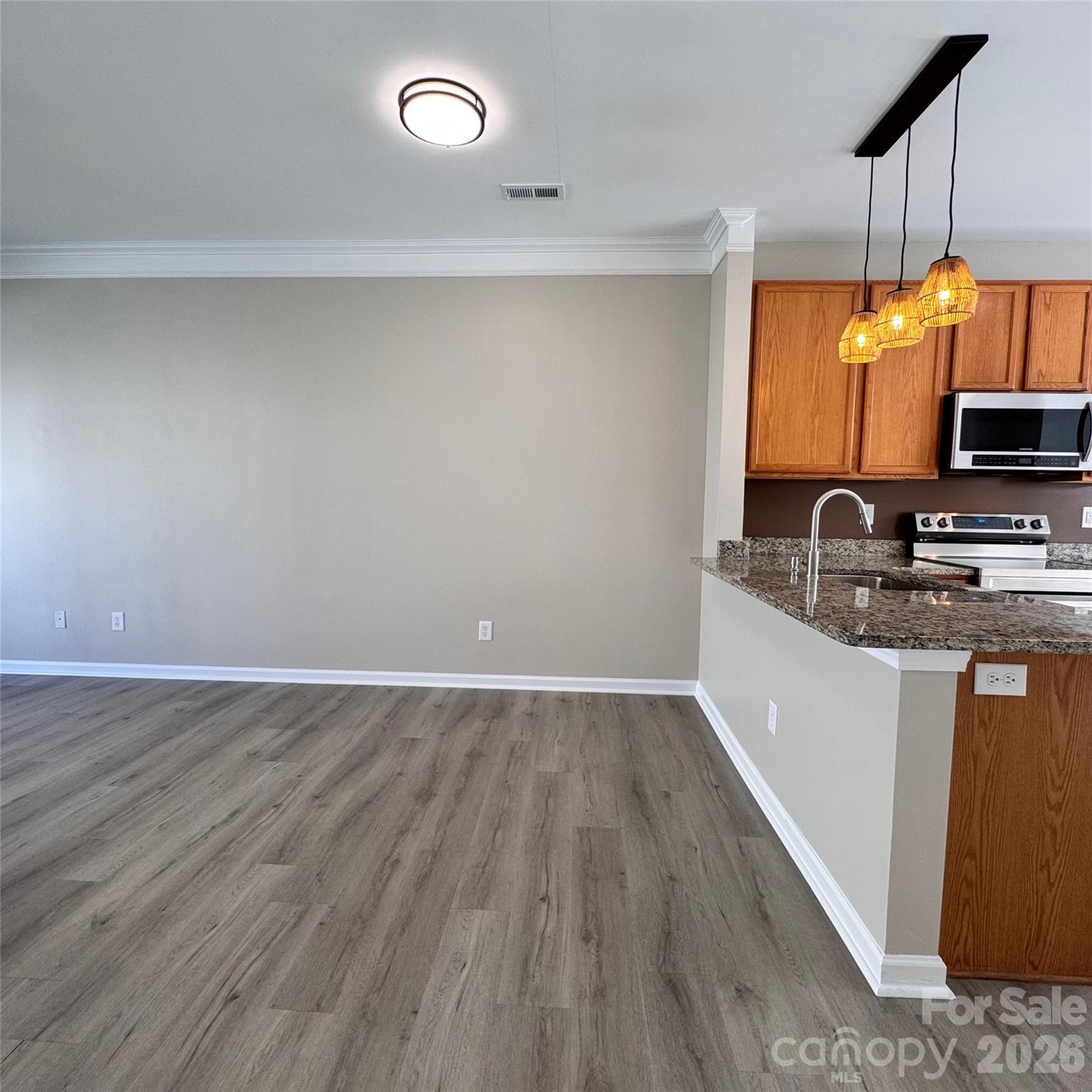 6320 Royal Celadon Way — Charlotte