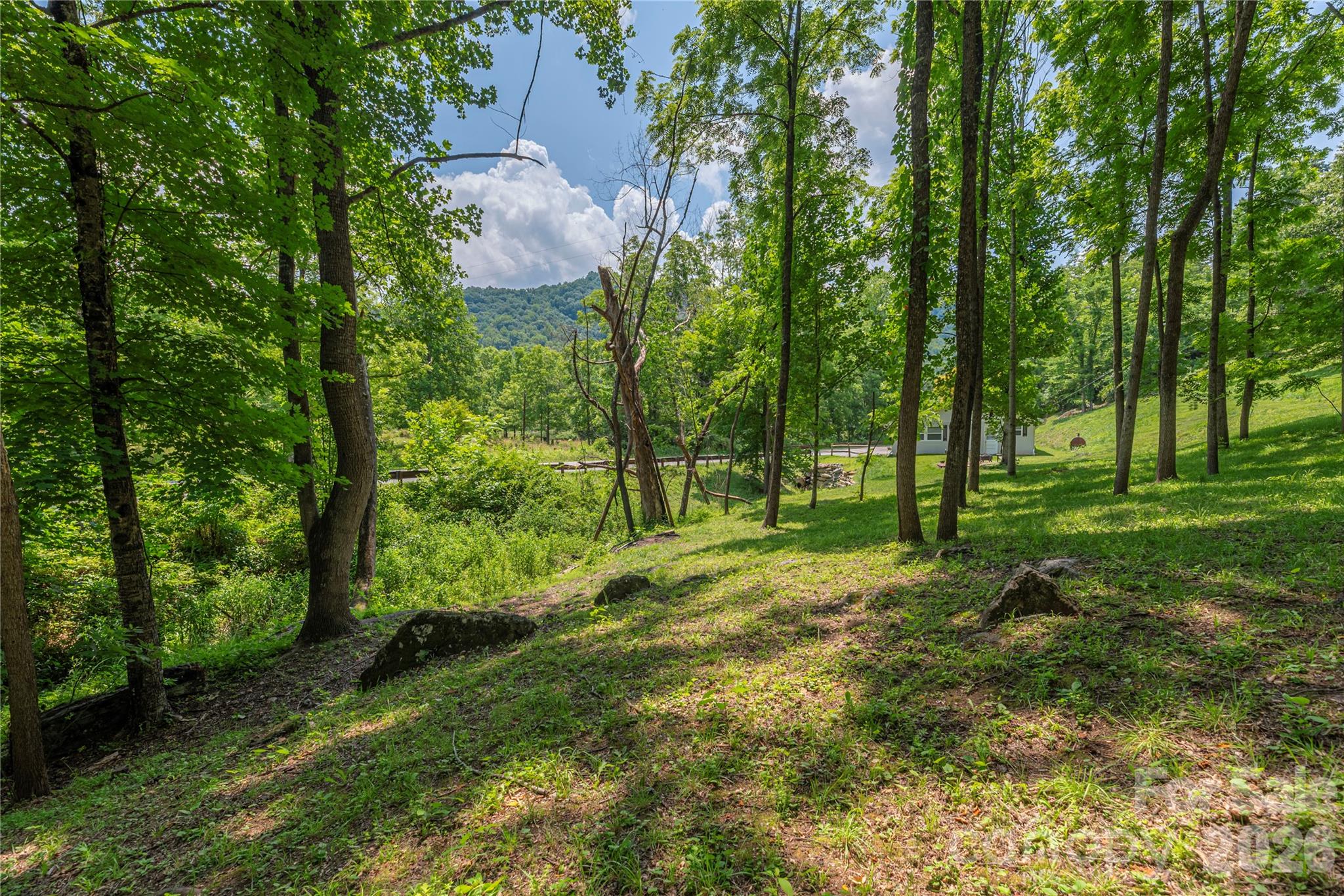 702 Love Joy Road — Canton