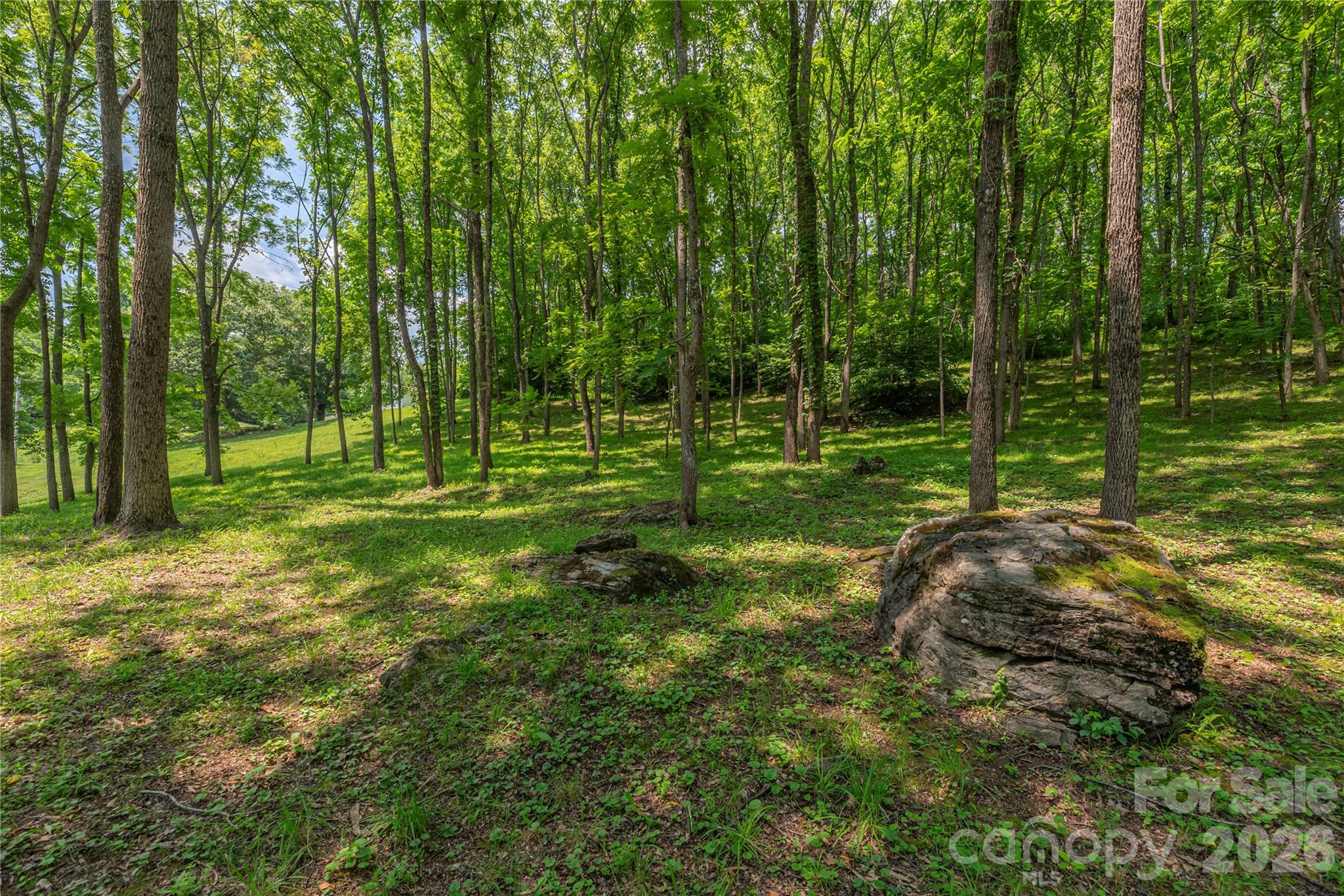 702 Love Joy Road — Canton