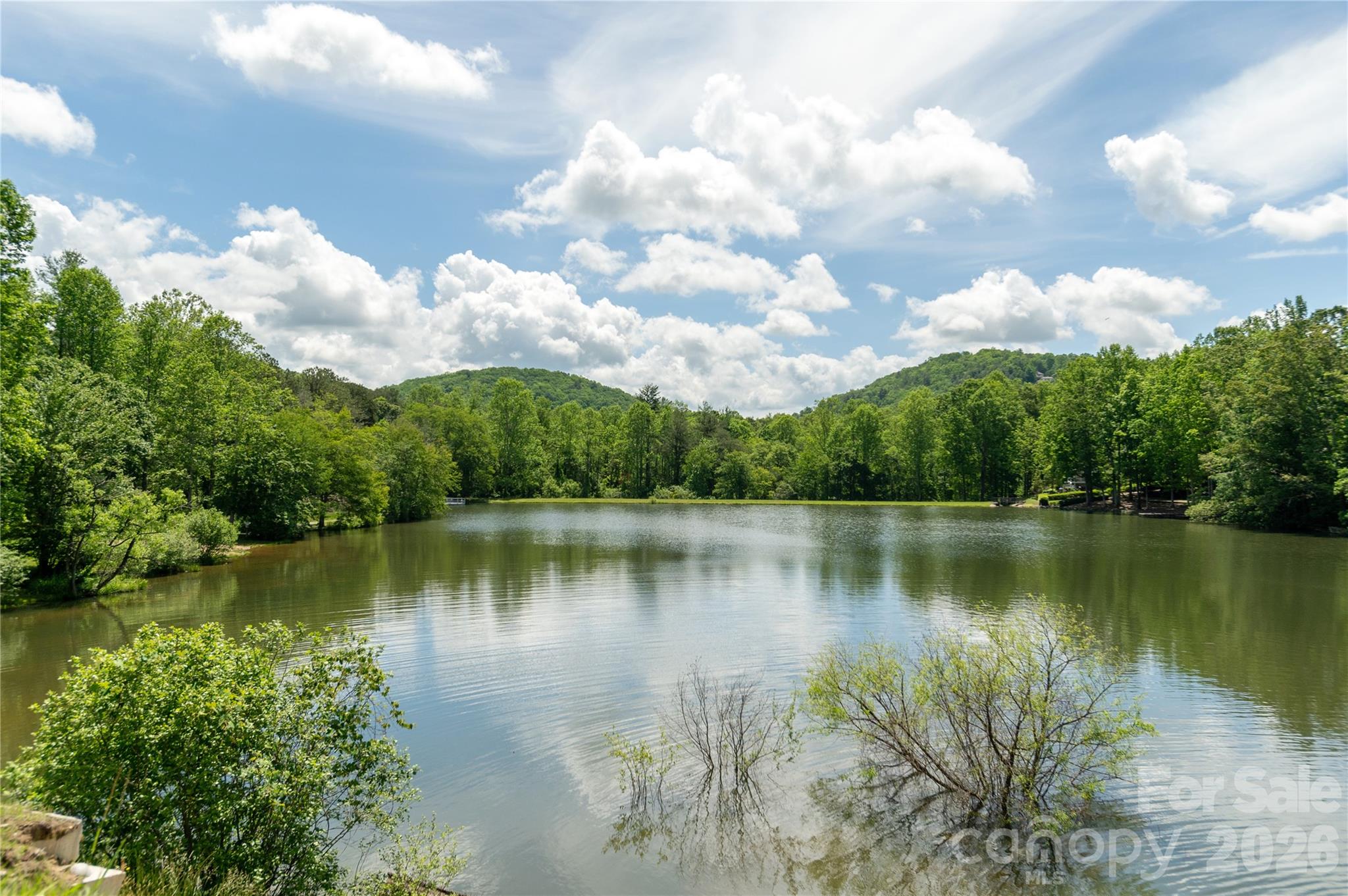 32 Beechwood Lakes Drive — Hendersonville