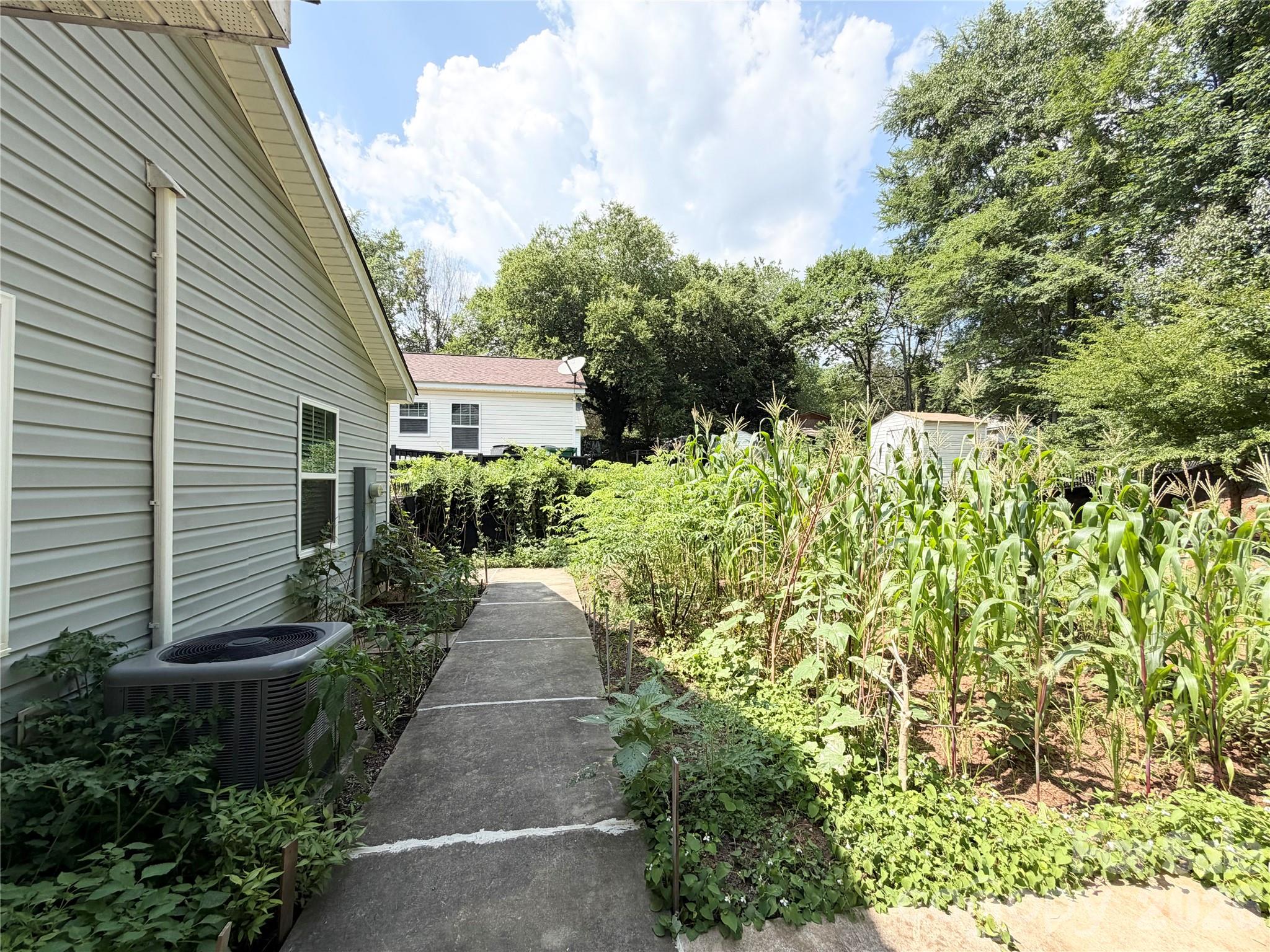 3125 Amay James Avenue — Charlotte