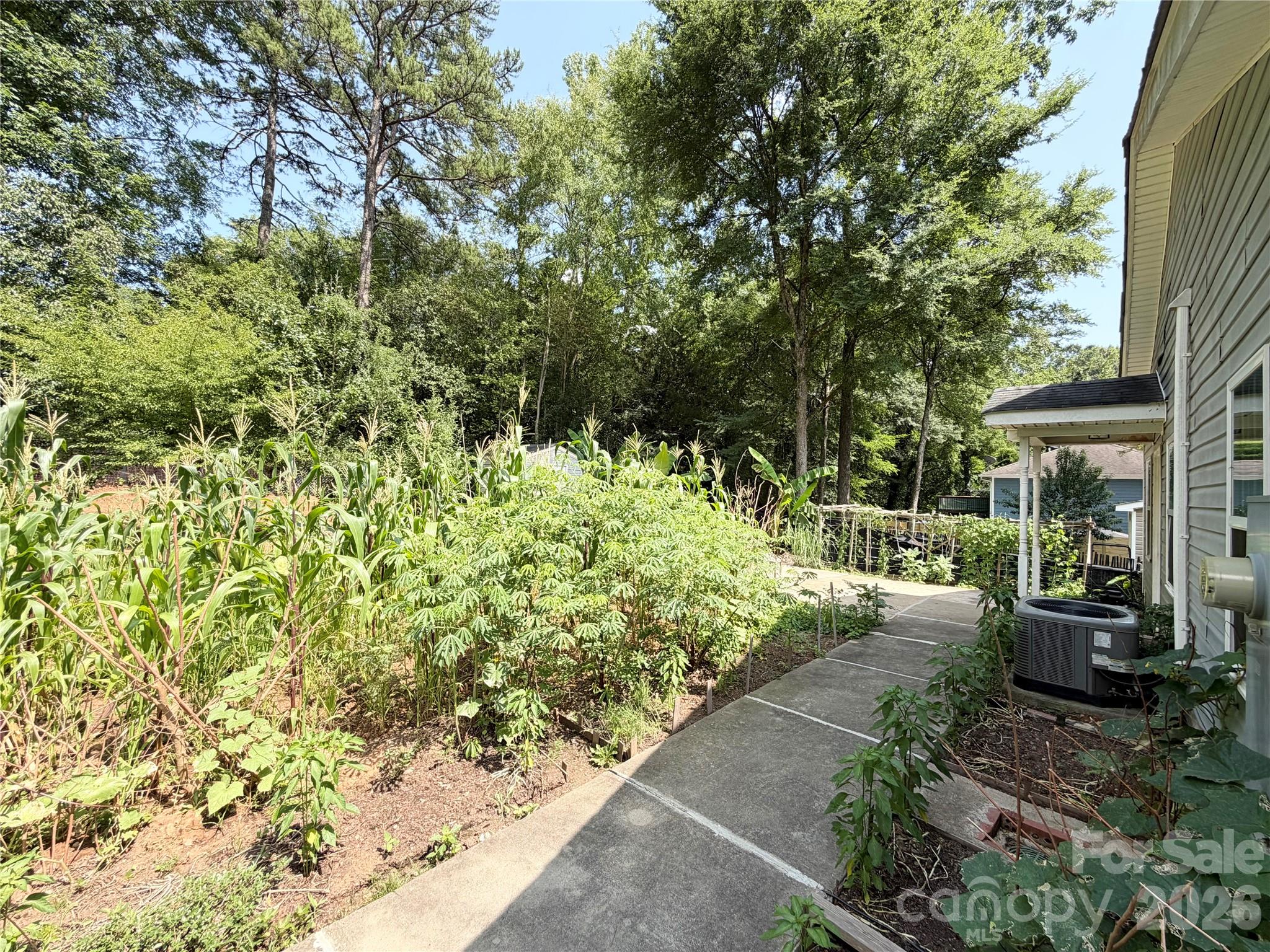 3125 Amay James Avenue — Charlotte