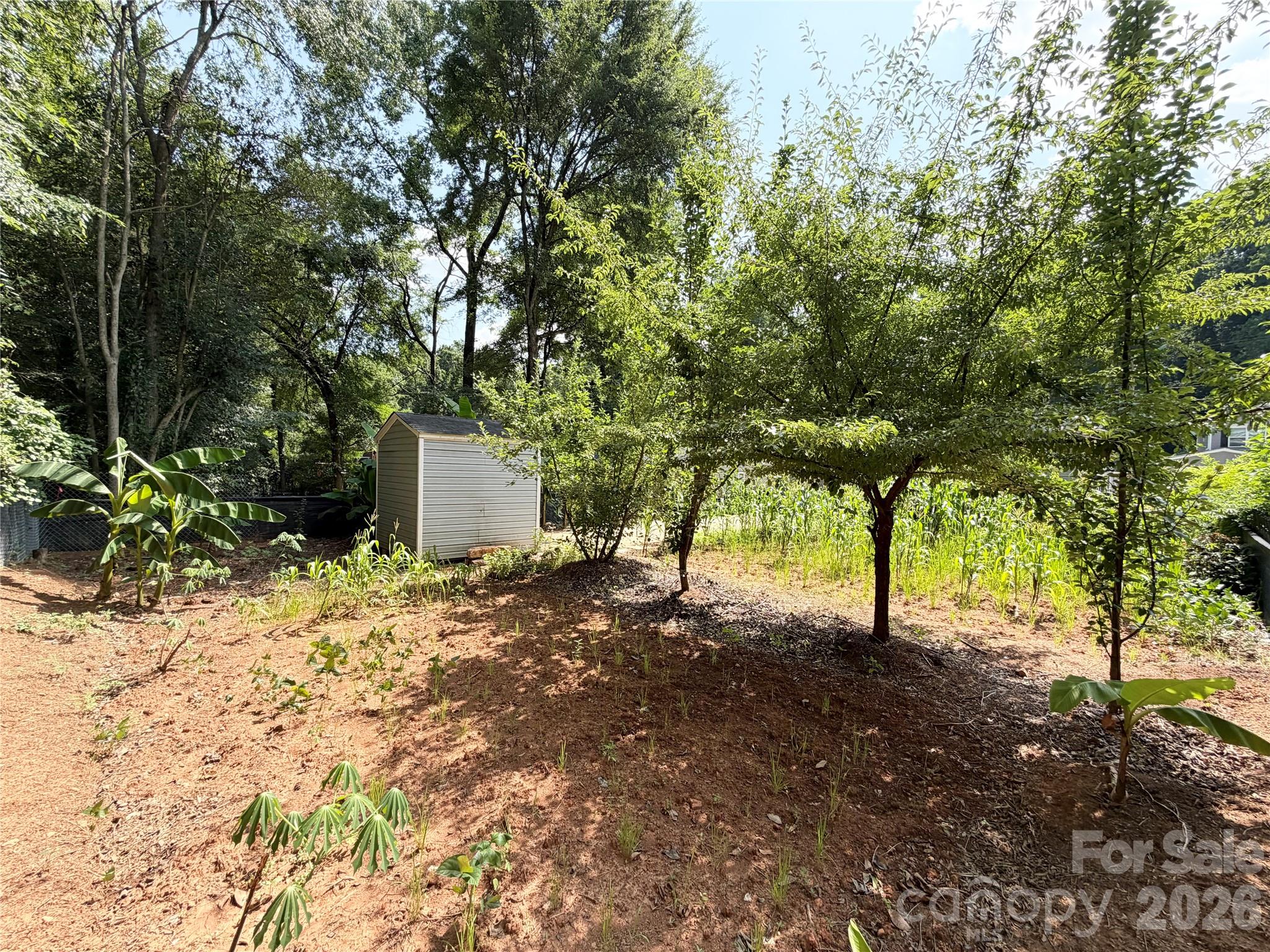 3125 Amay James Avenue — Charlotte