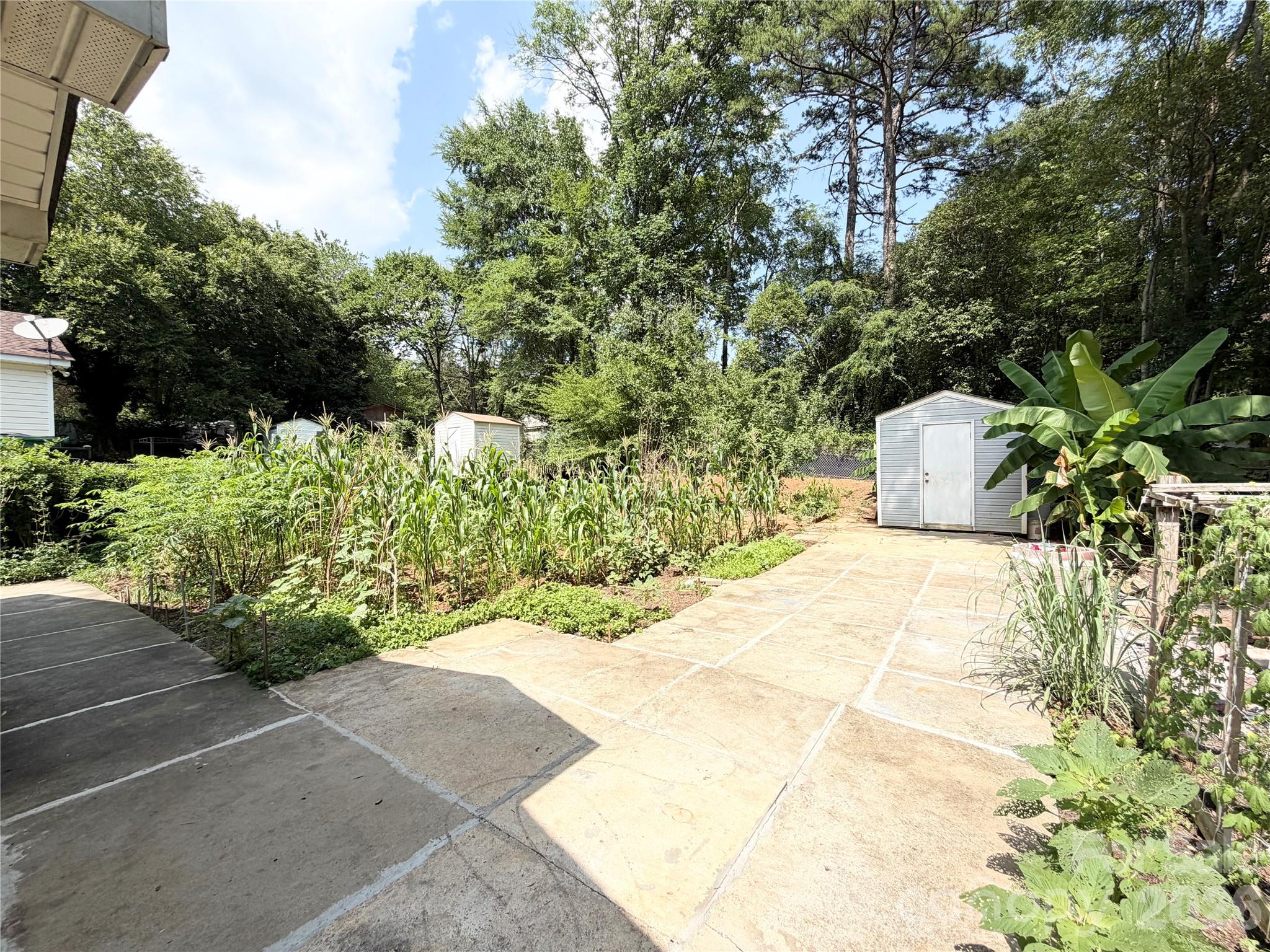 3125 Amay James Avenue — Charlotte