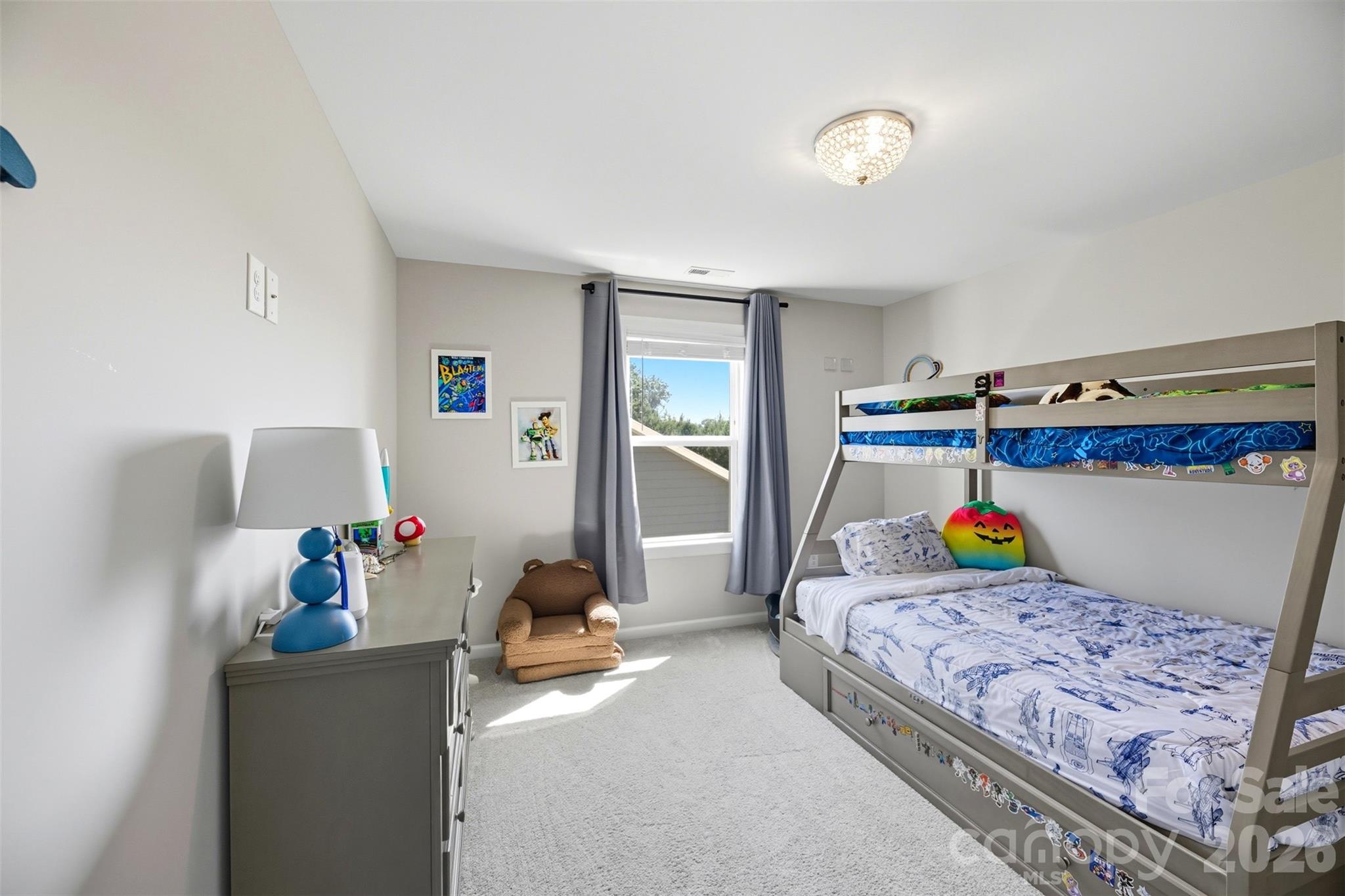 3104 Winged Teal Court — Belmont