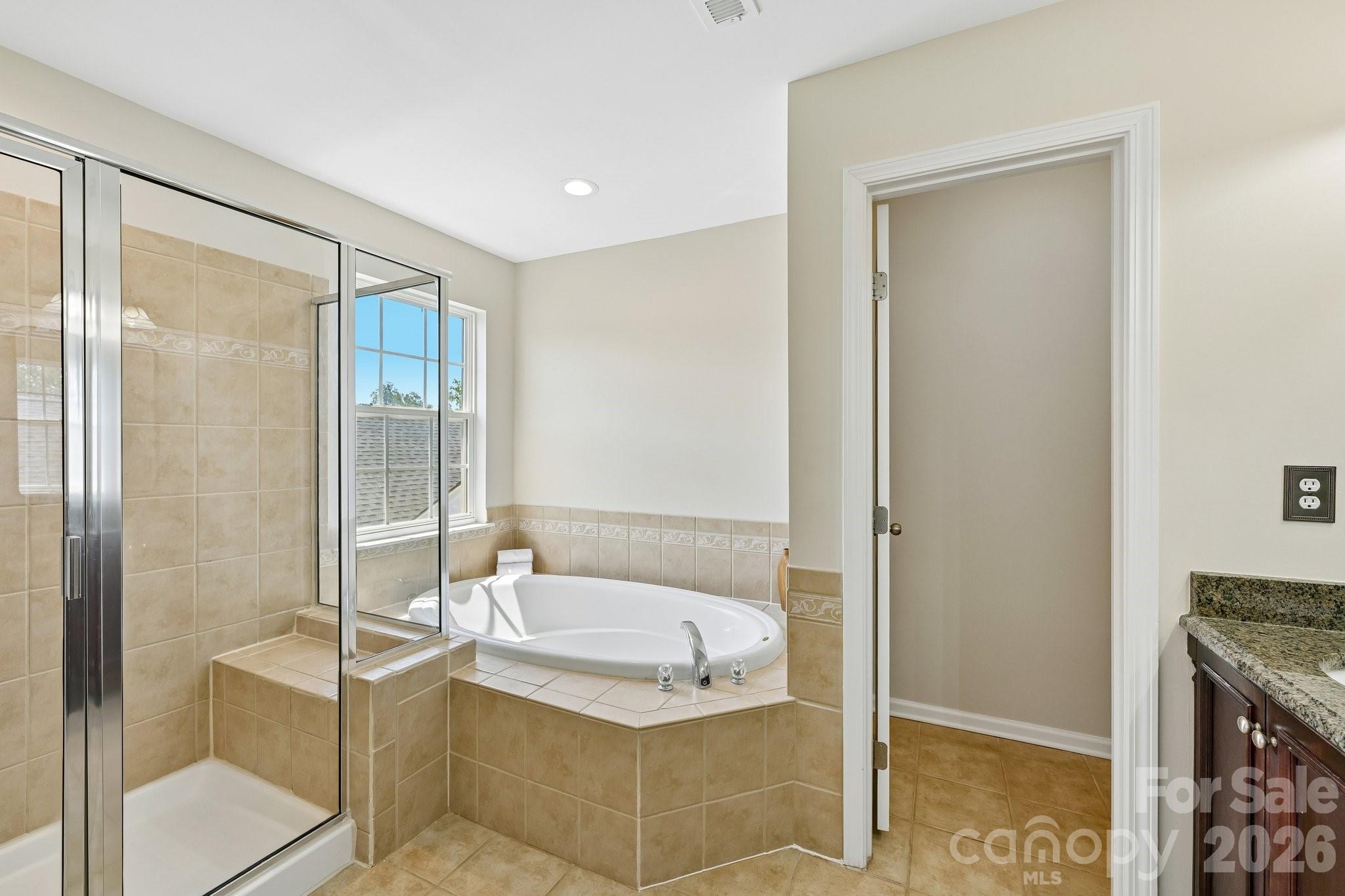20524 Harbor View Drive — Cornelius