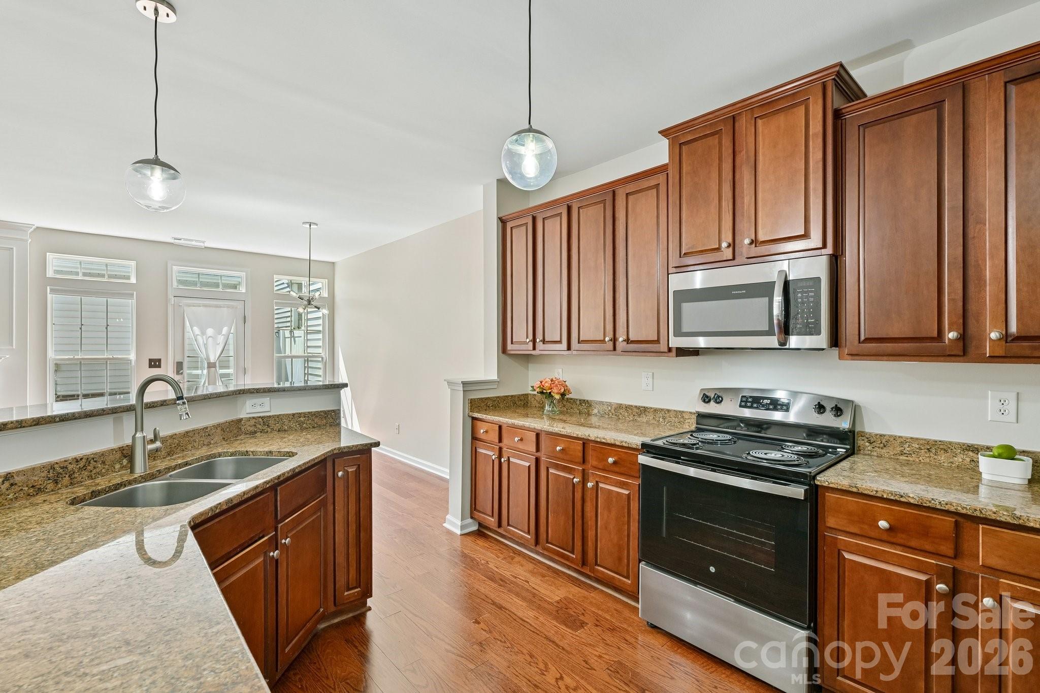 20524 Harbor View Drive — Cornelius