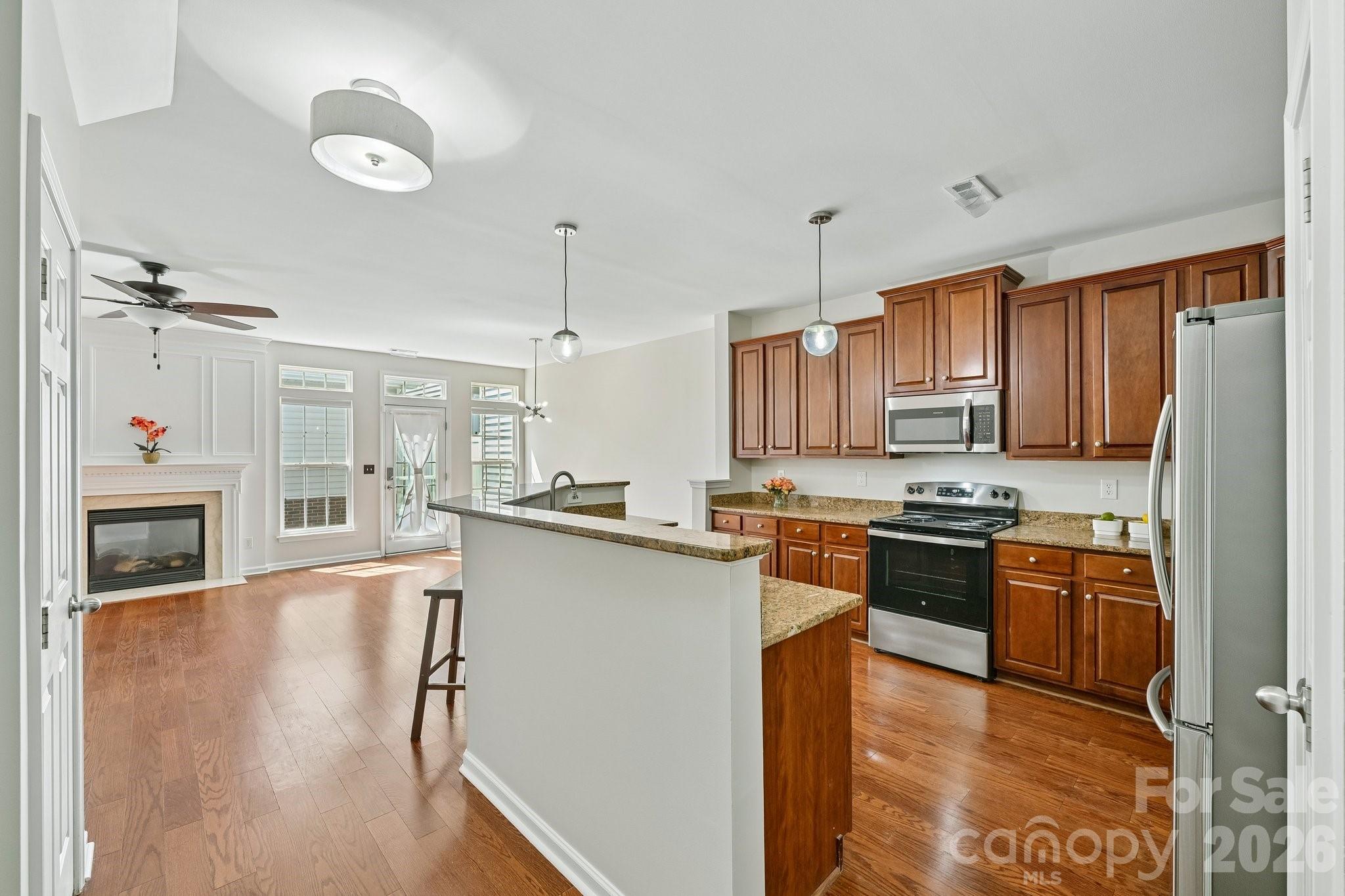 20524 Harbor View Drive — Cornelius