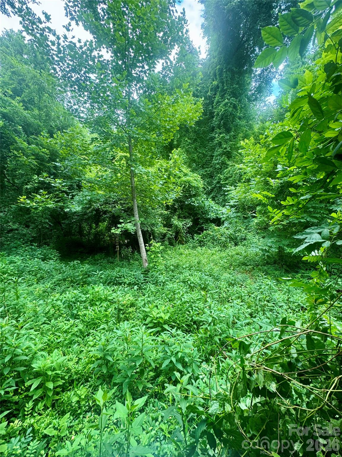 2874 Huffman Road — Lenoir