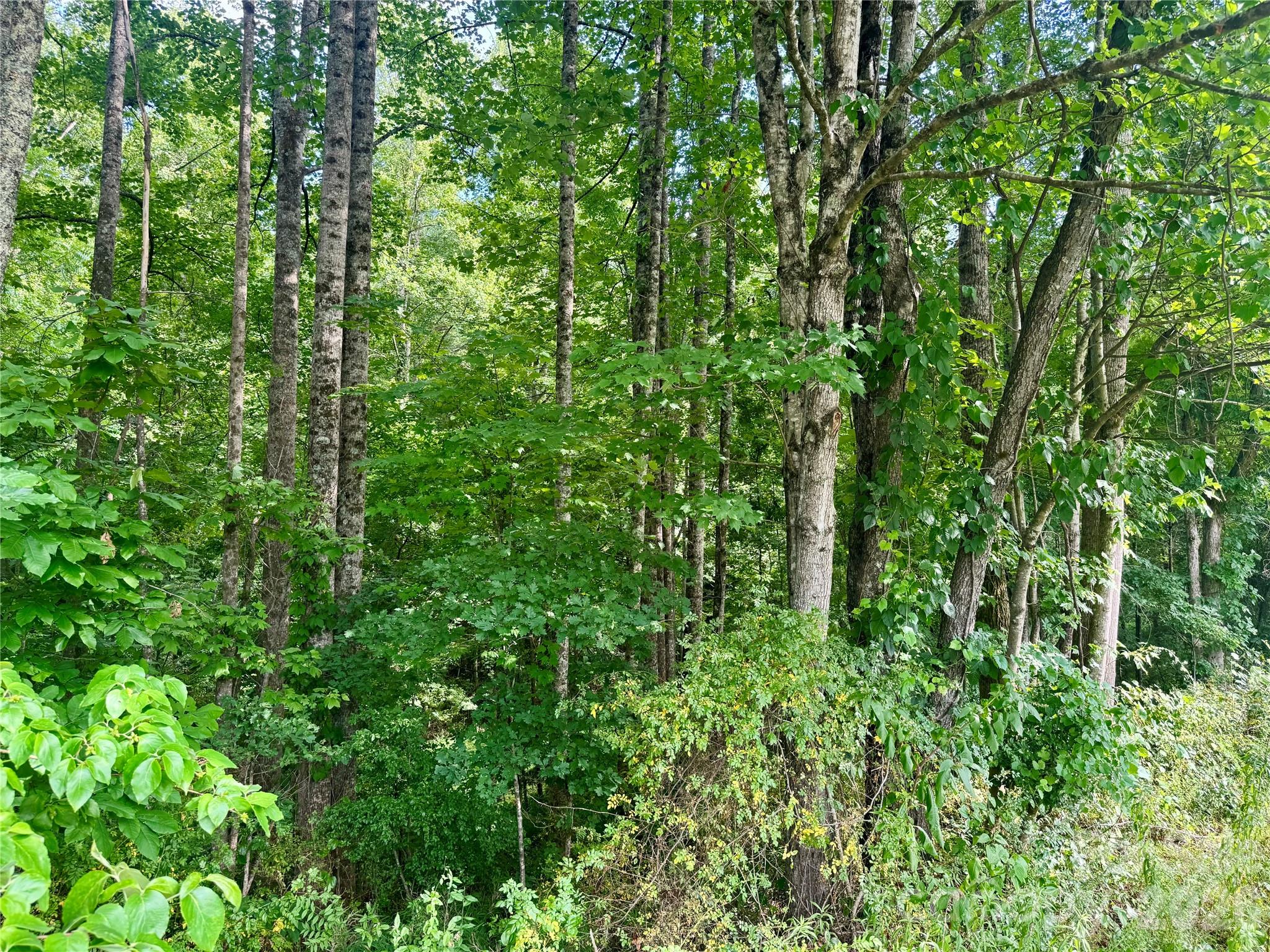 2874 Huffman Road — Lenoir