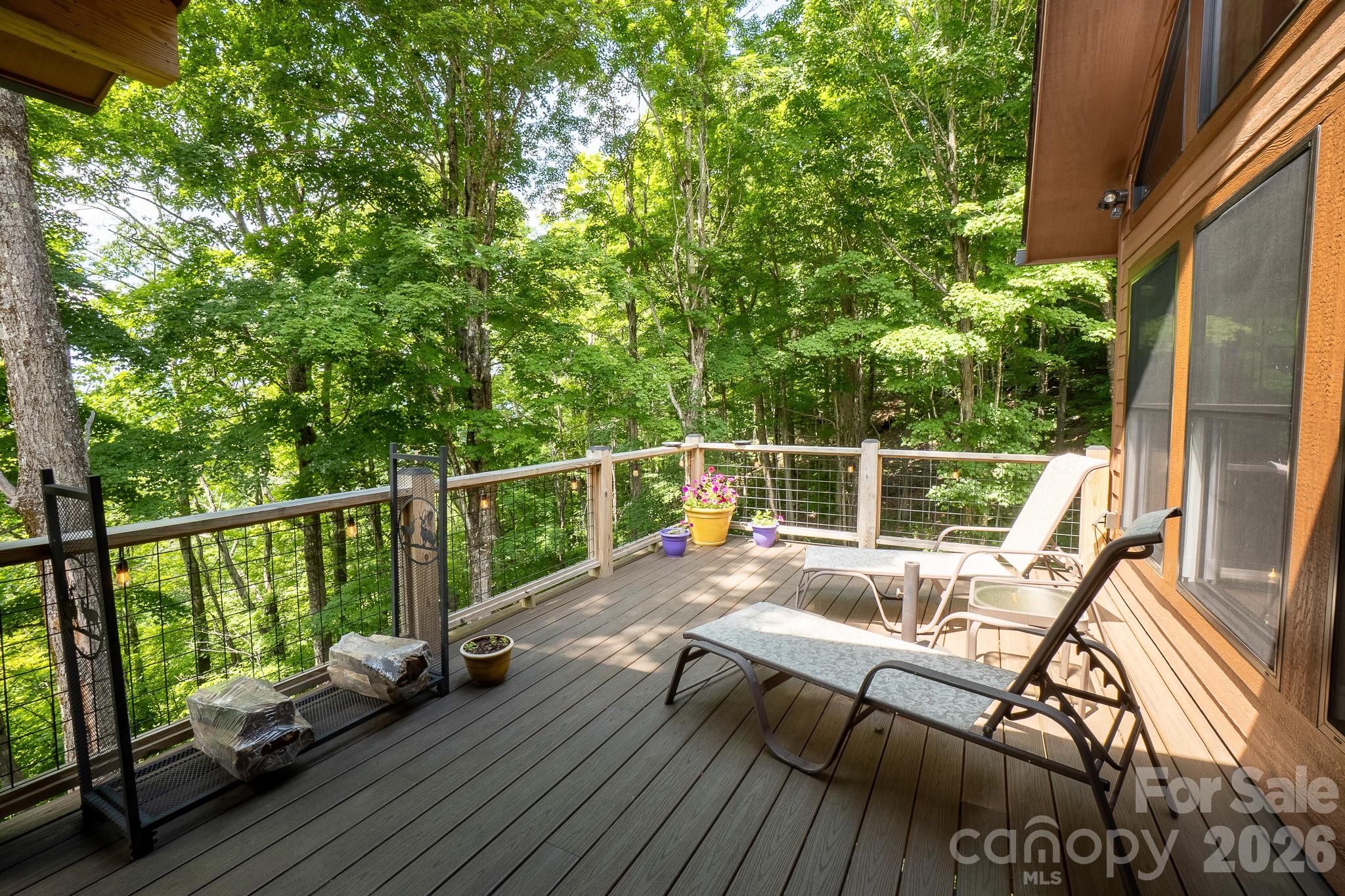 1009 Larkspur Trail — Banner Elk