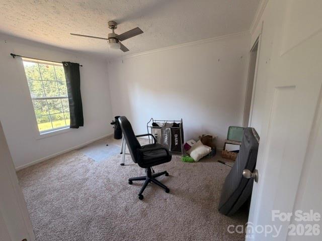 3103 Peaceful Meadows Drive — Morganton