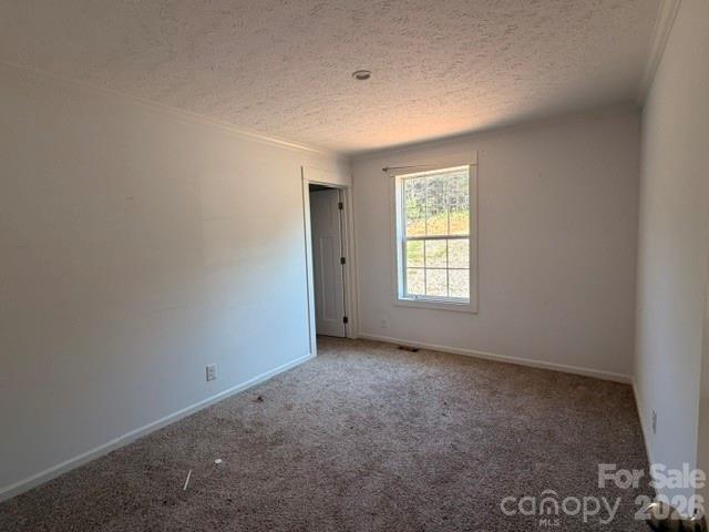 3103 Peaceful Meadows Drive — Morganton