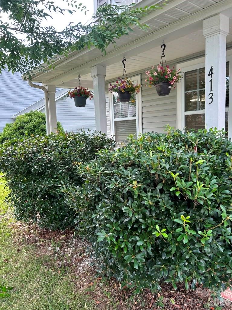 413 Peachtree Road — Charlotte