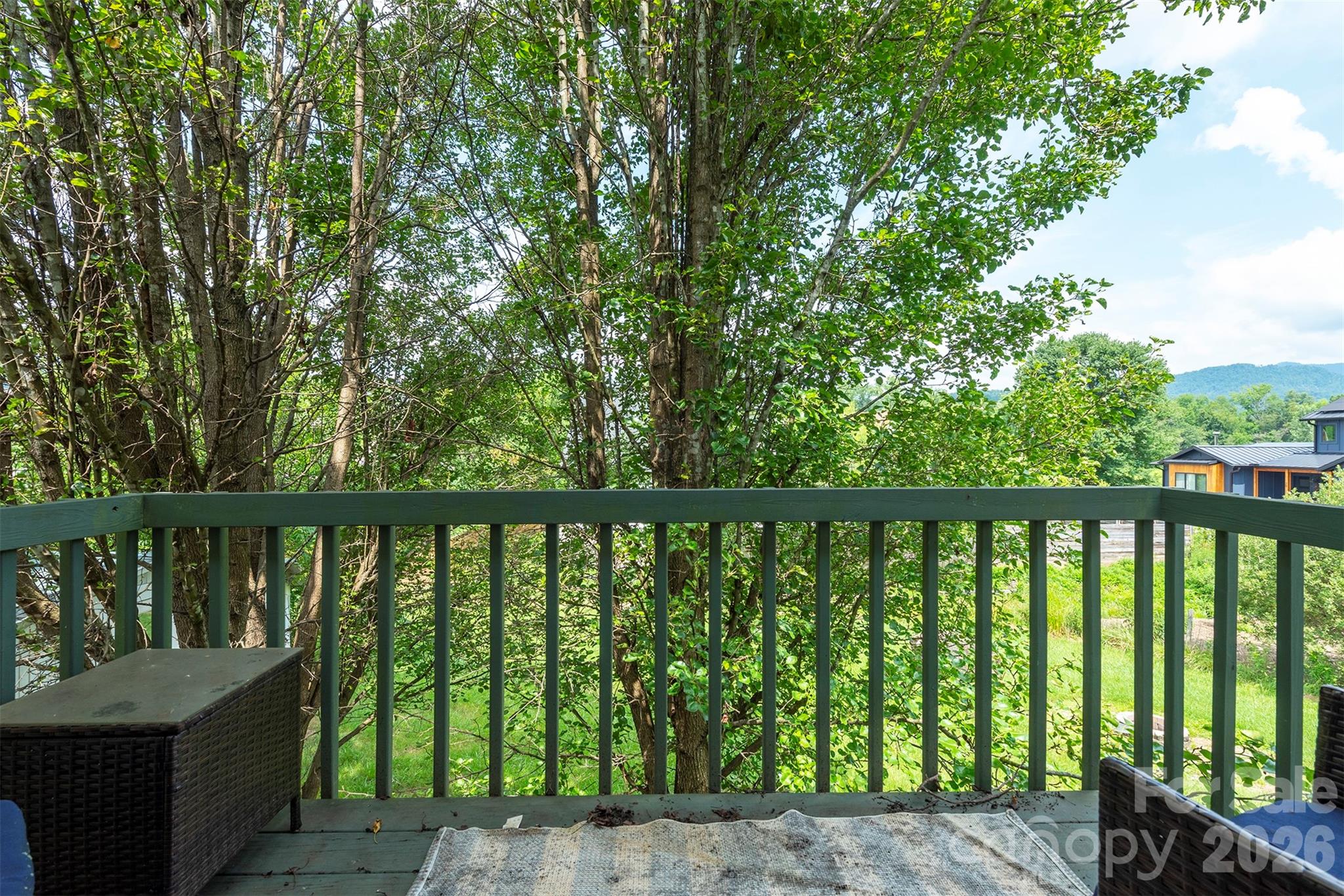 223 Davidson Road — Swannanoa