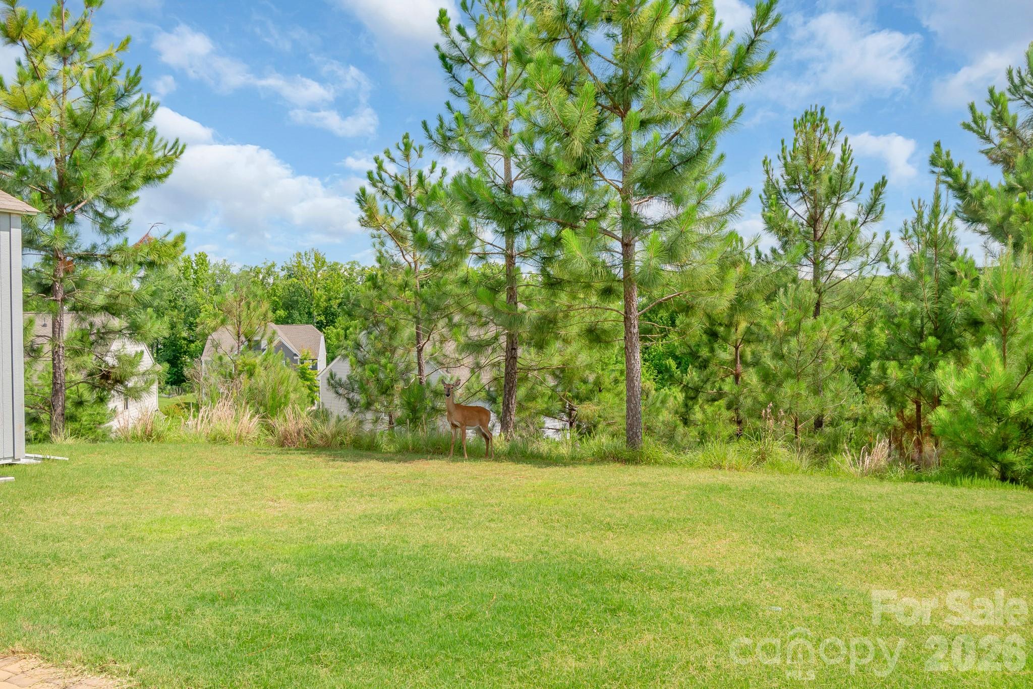 17713 Yarwill Court — Charlotte