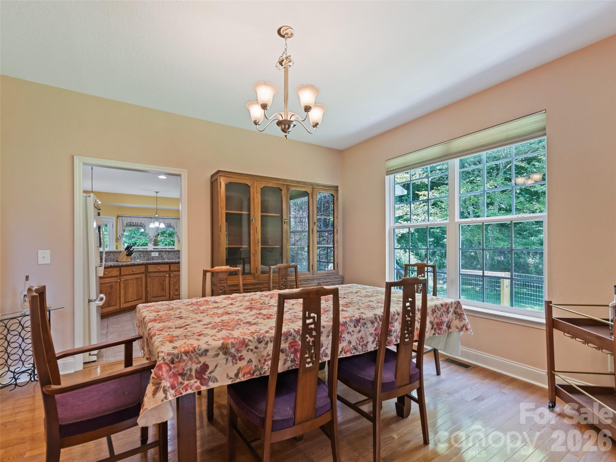 57 Woodfin Road — Sylva
