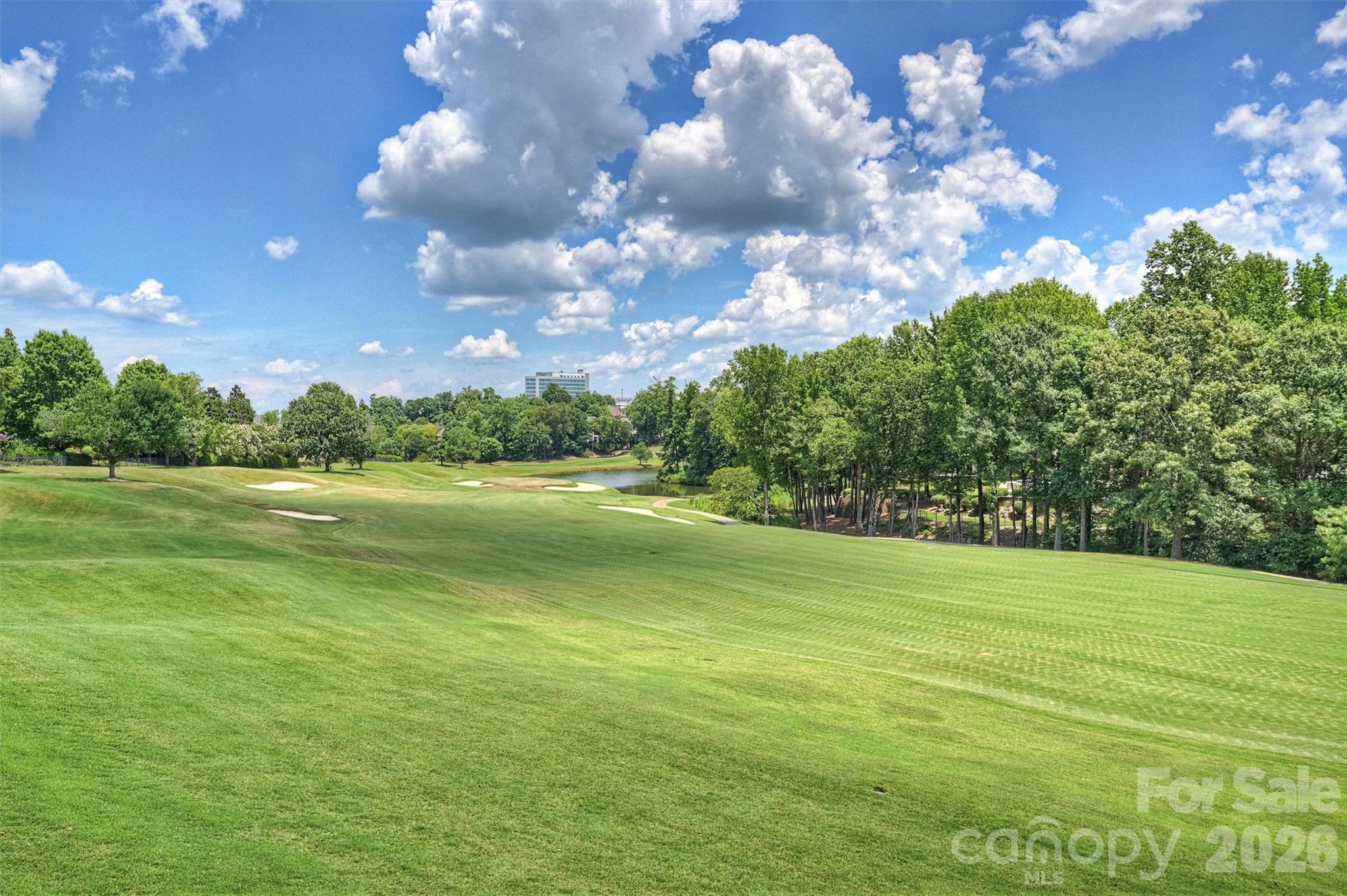 14747 Rudolph Dadey Drive — Charlotte