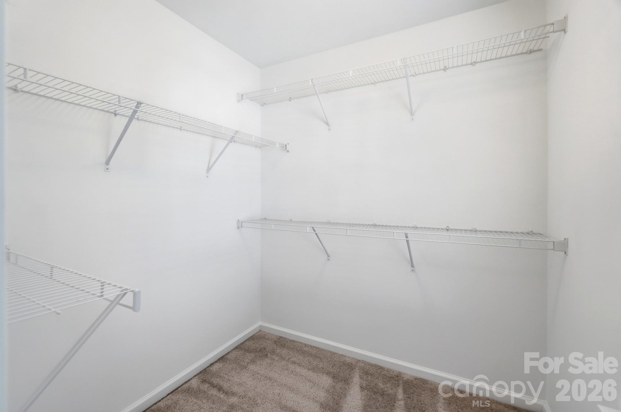 7495 Red Mulberry Way — Charlotte