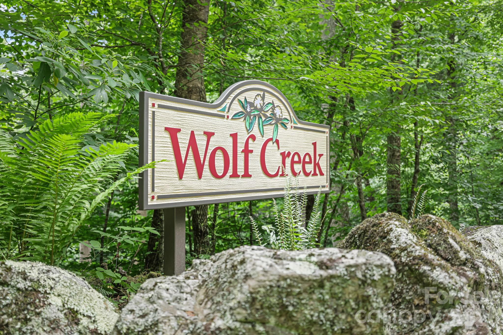 337 Leatherbreeches Drive — Tuckasegee