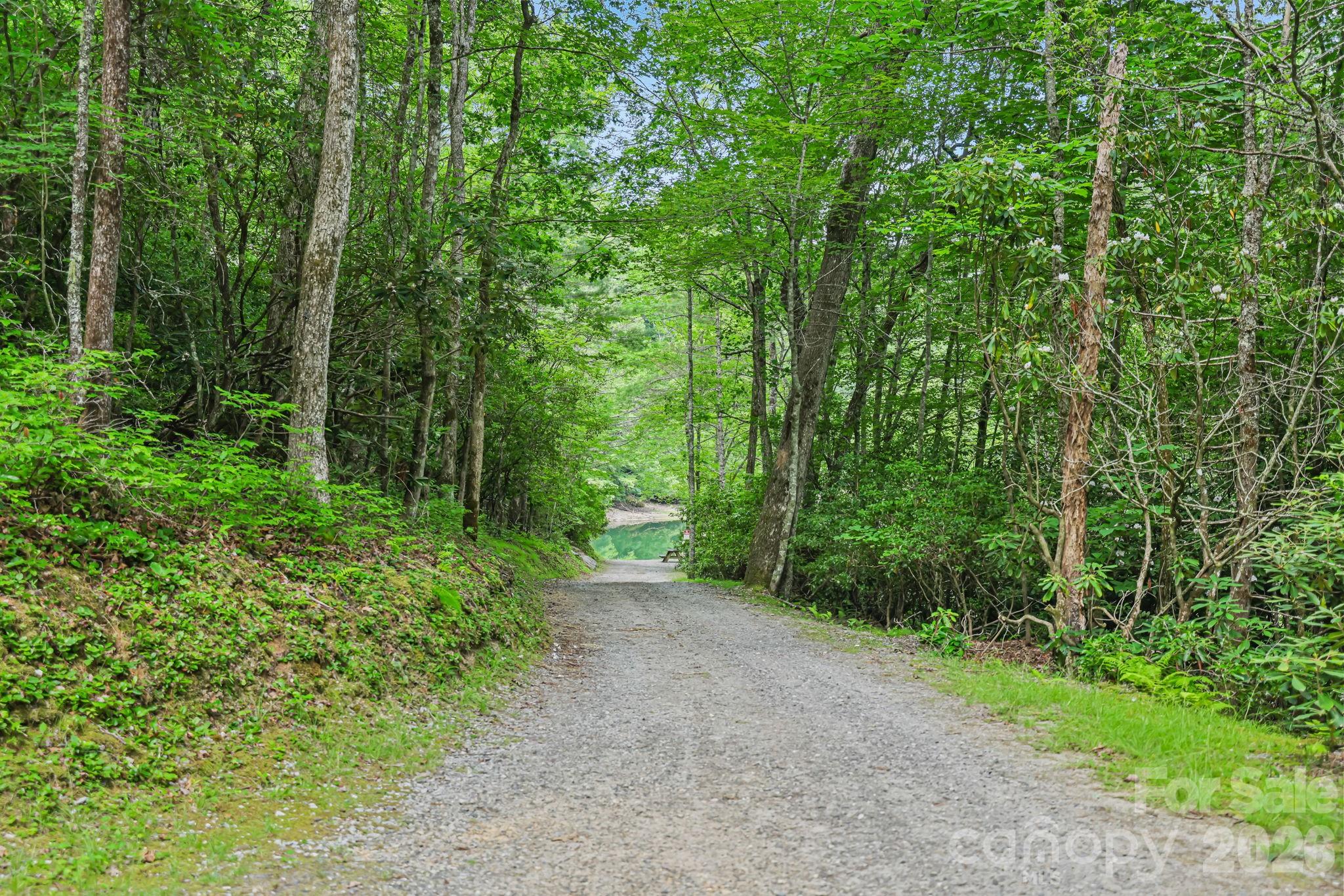 337 Leatherbreeches Drive — Tuckasegee