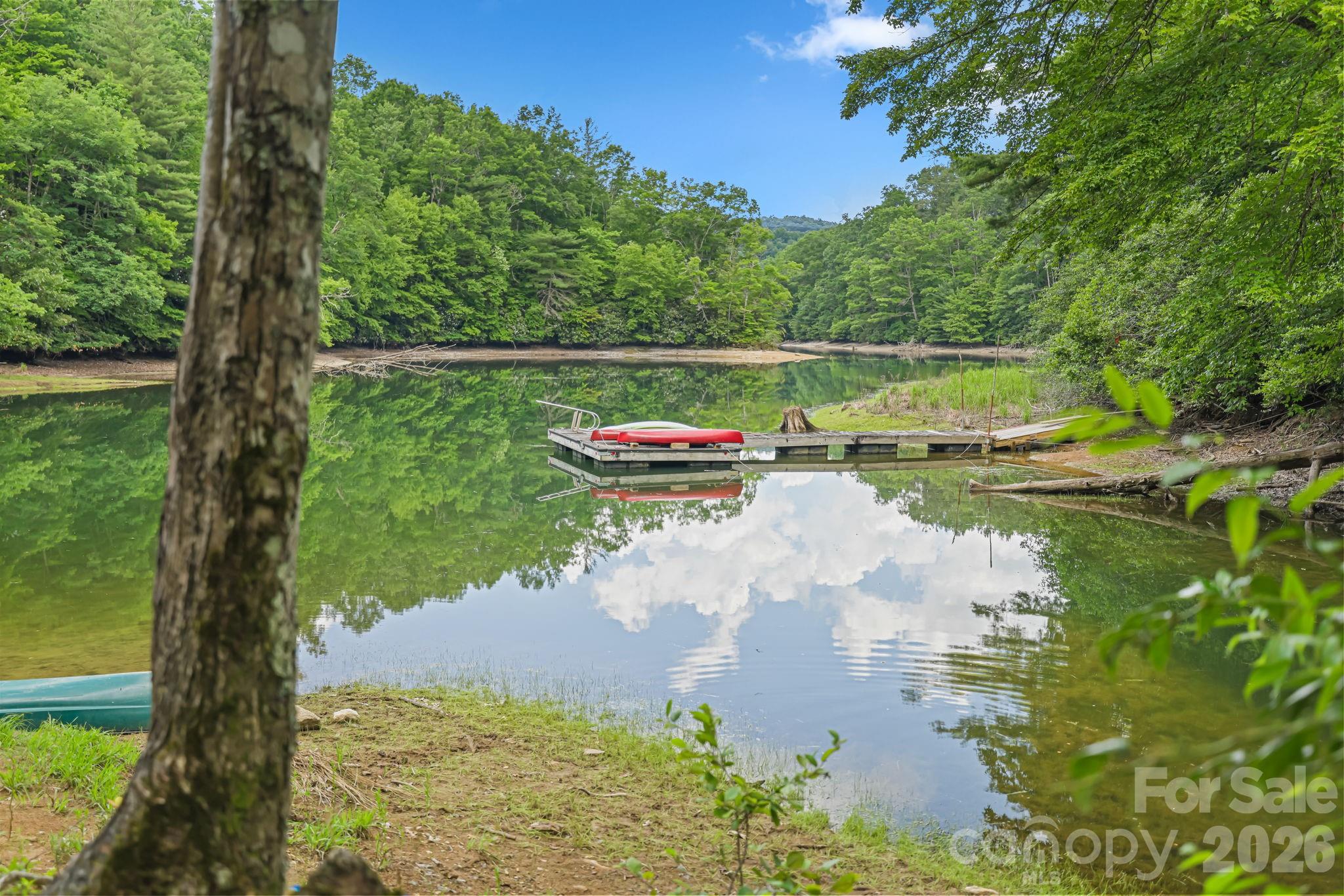 337 Leatherbreeches Drive — Tuckasegee