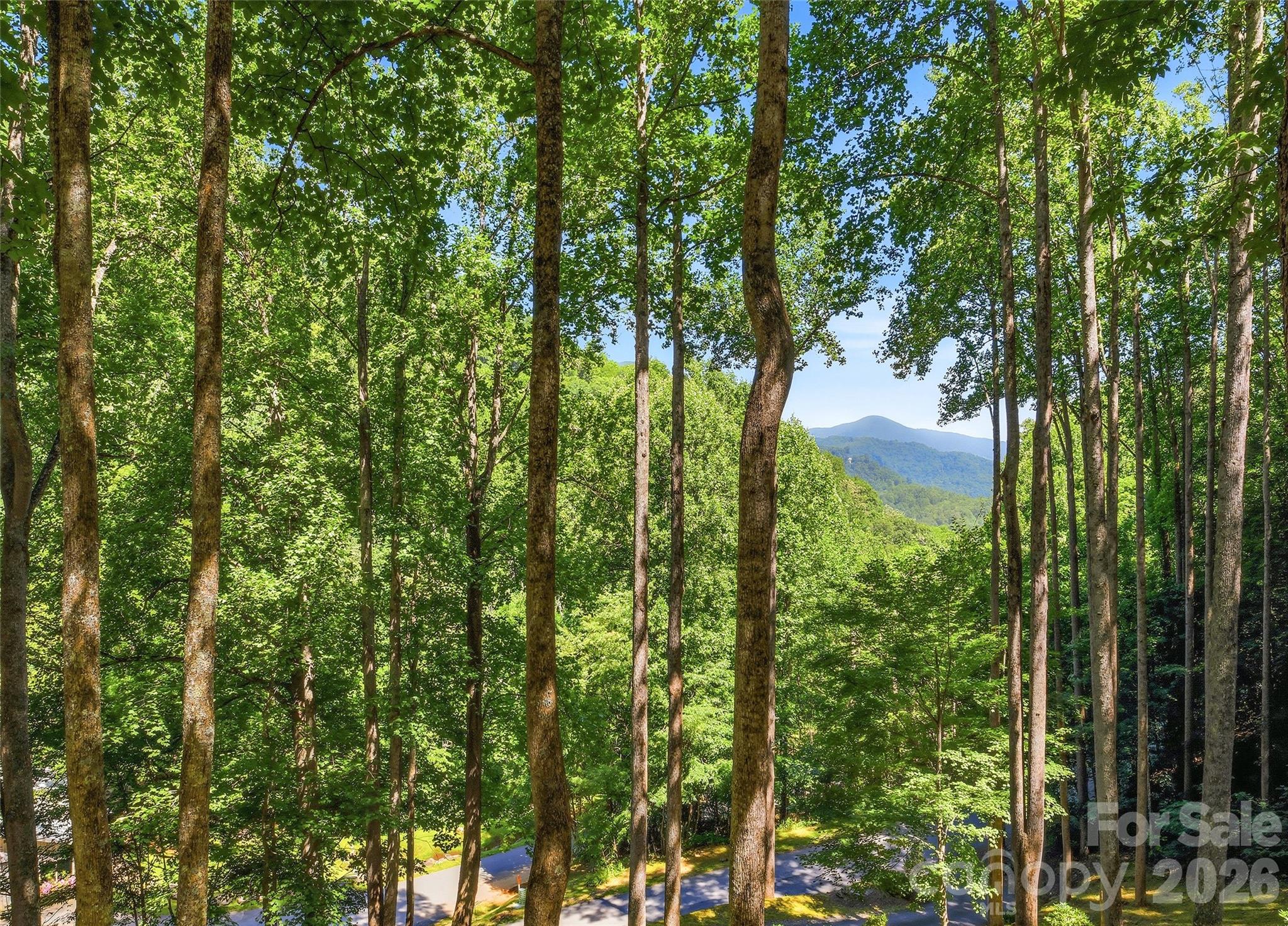 26 Tawodi Trail — Maggie Valley