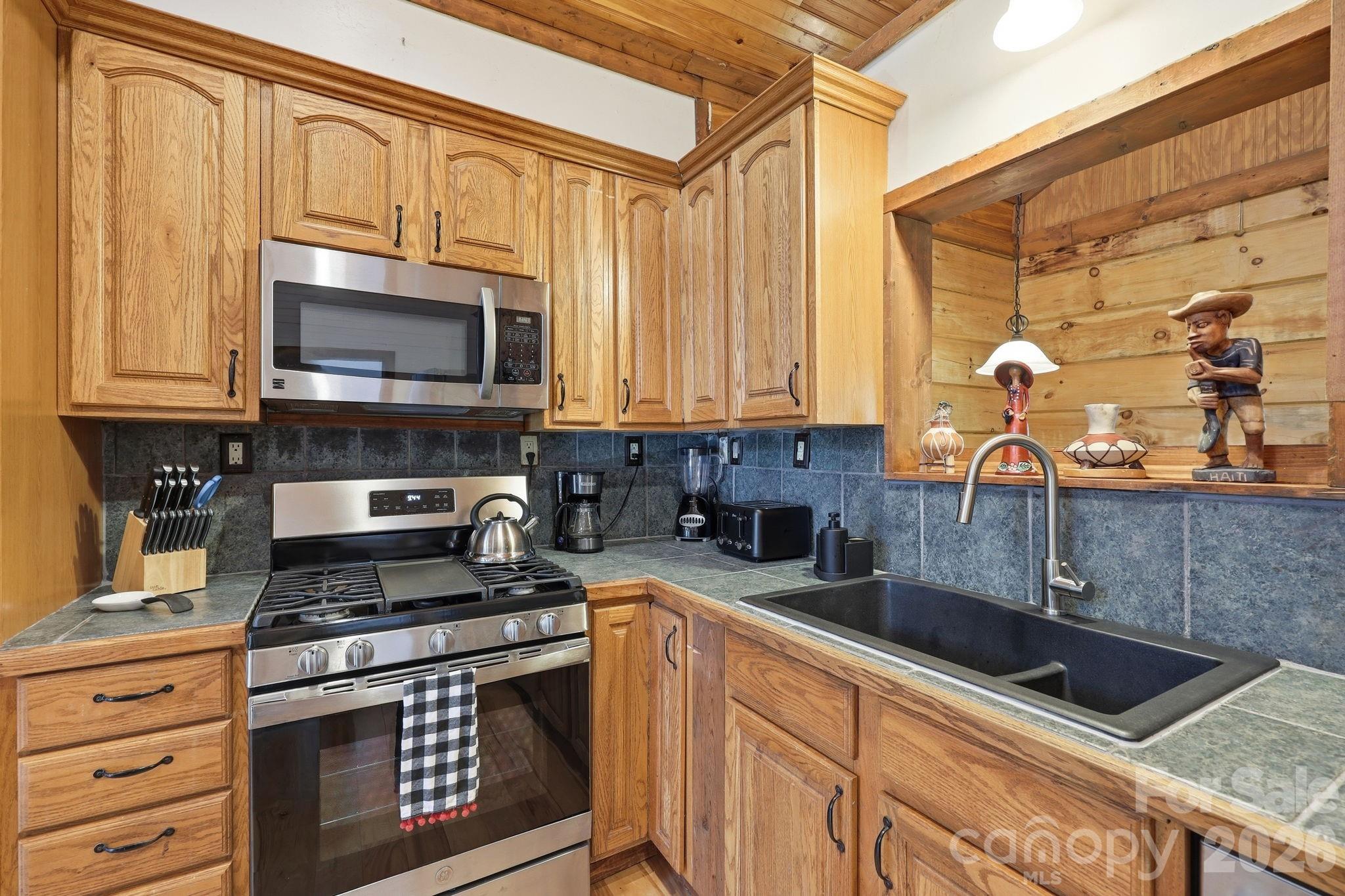 619 Leisure Lane — Burnsville