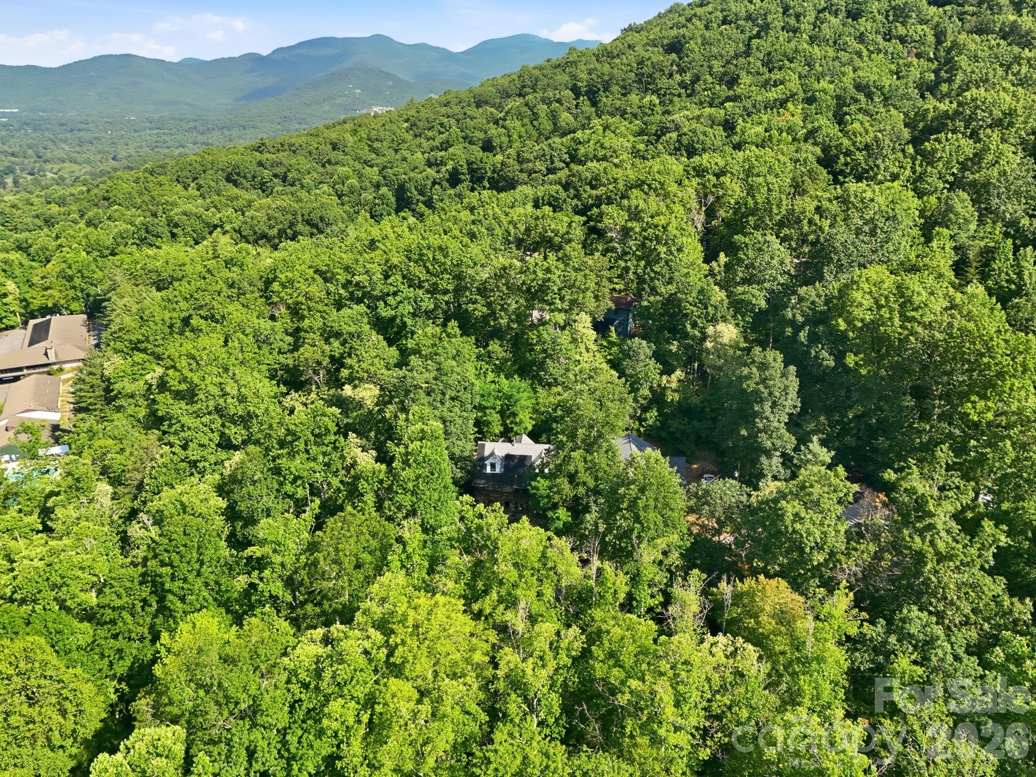 2 Coneflower Court — Black Mountain