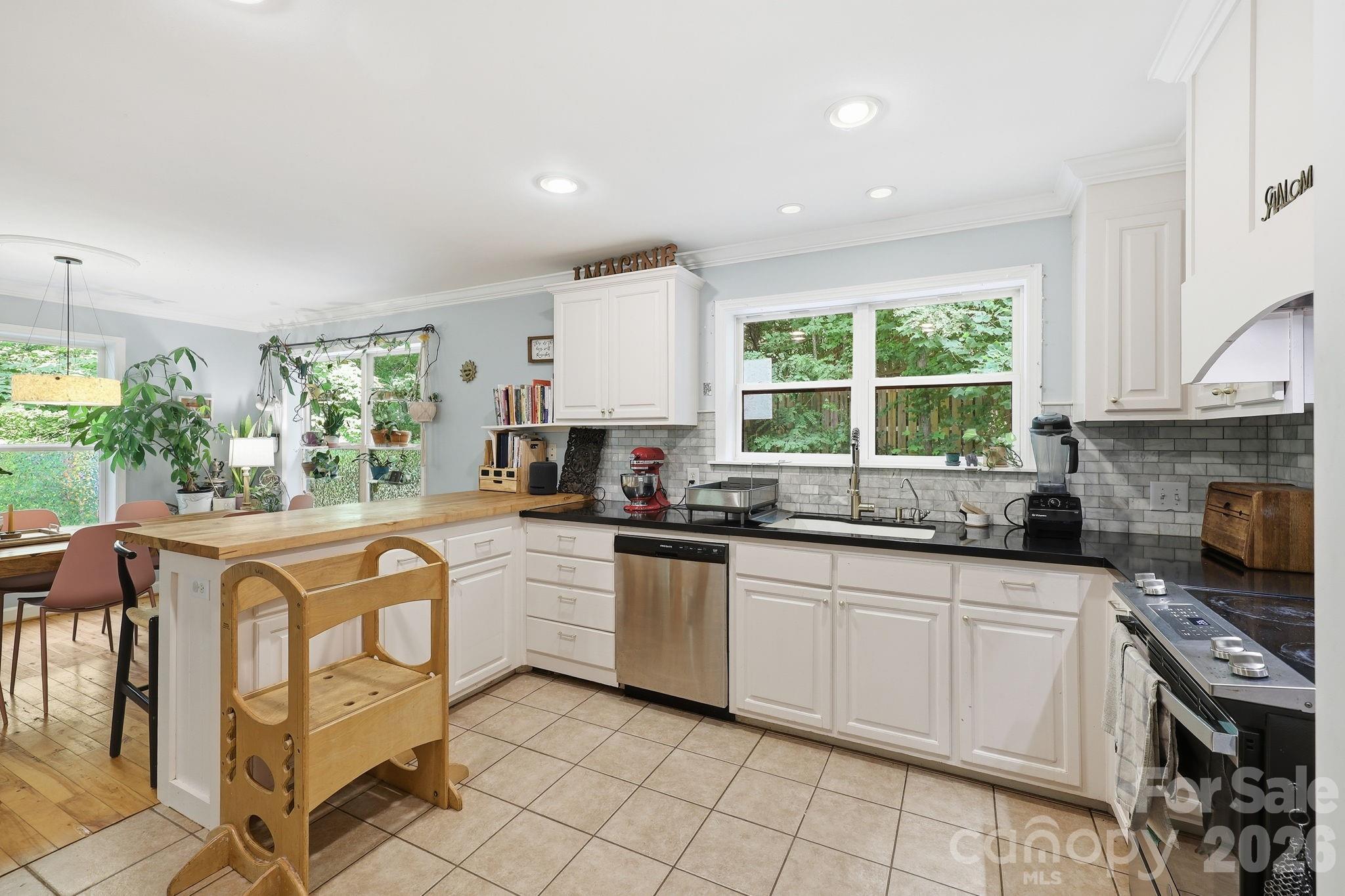 2 Coneflower Court — Black Mountain