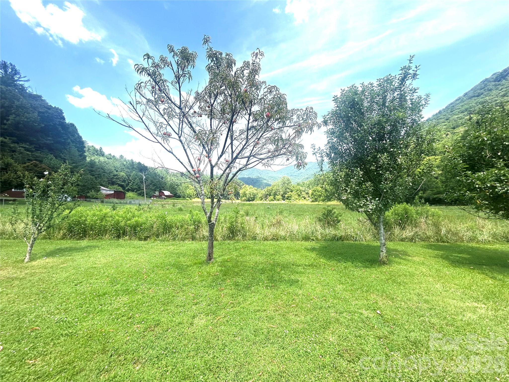 10755 NC 209 Highway — Hot Springs