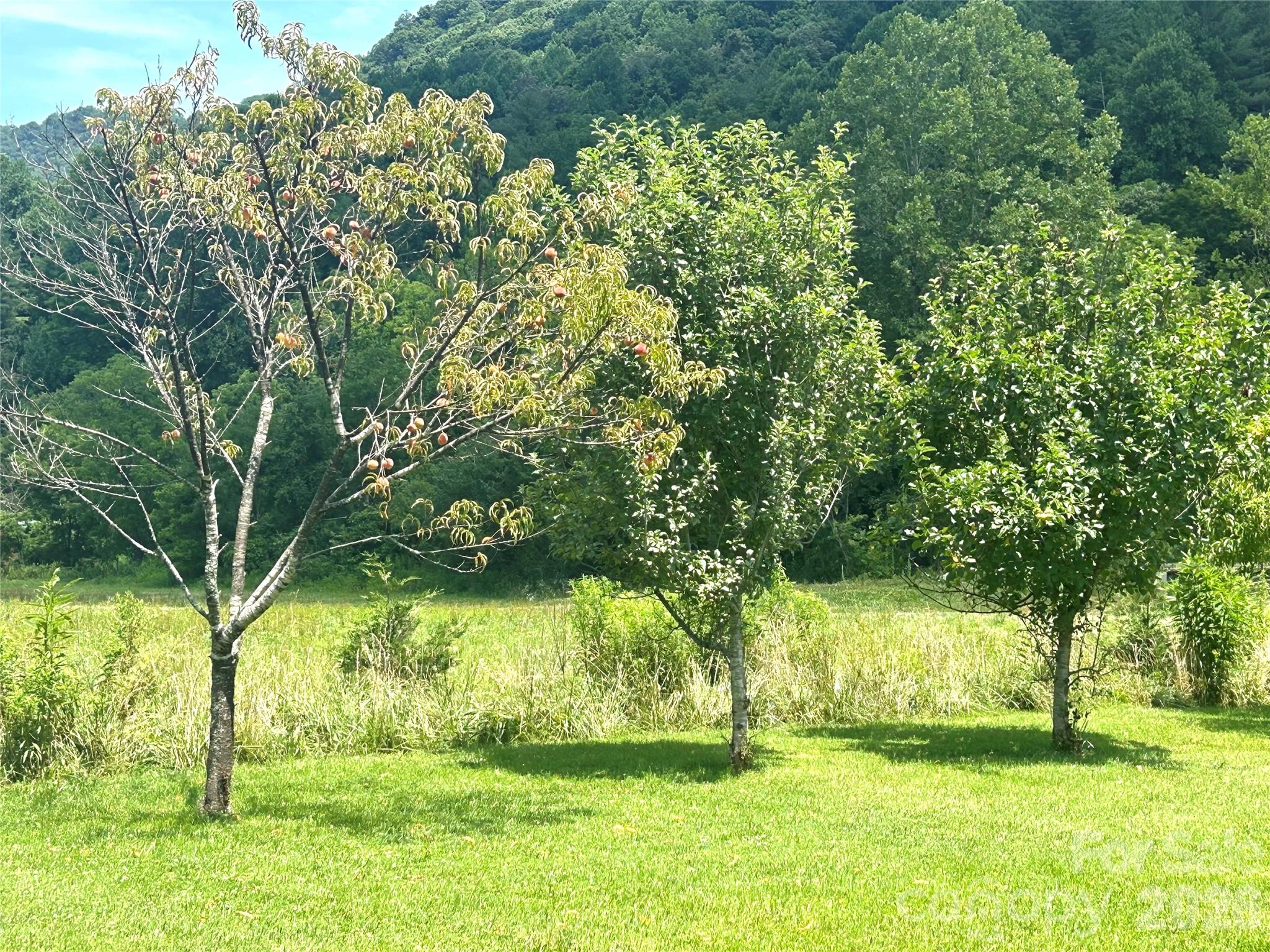 10755 NC 209 Highway — Hot Springs