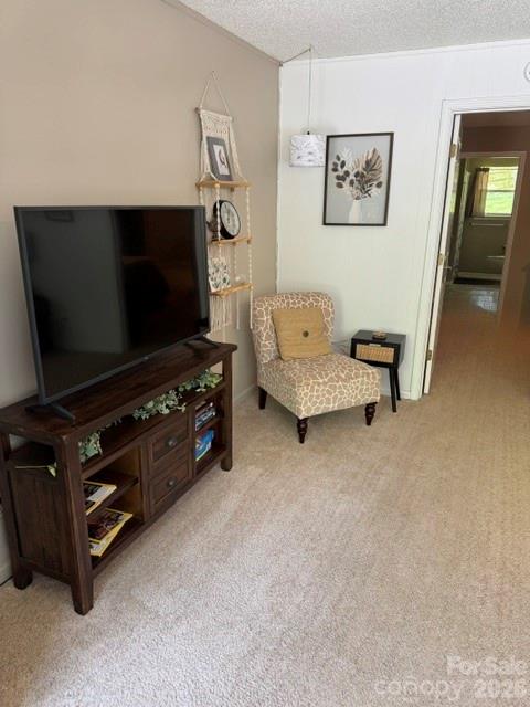 96 Rolling Hills Road — Mills River