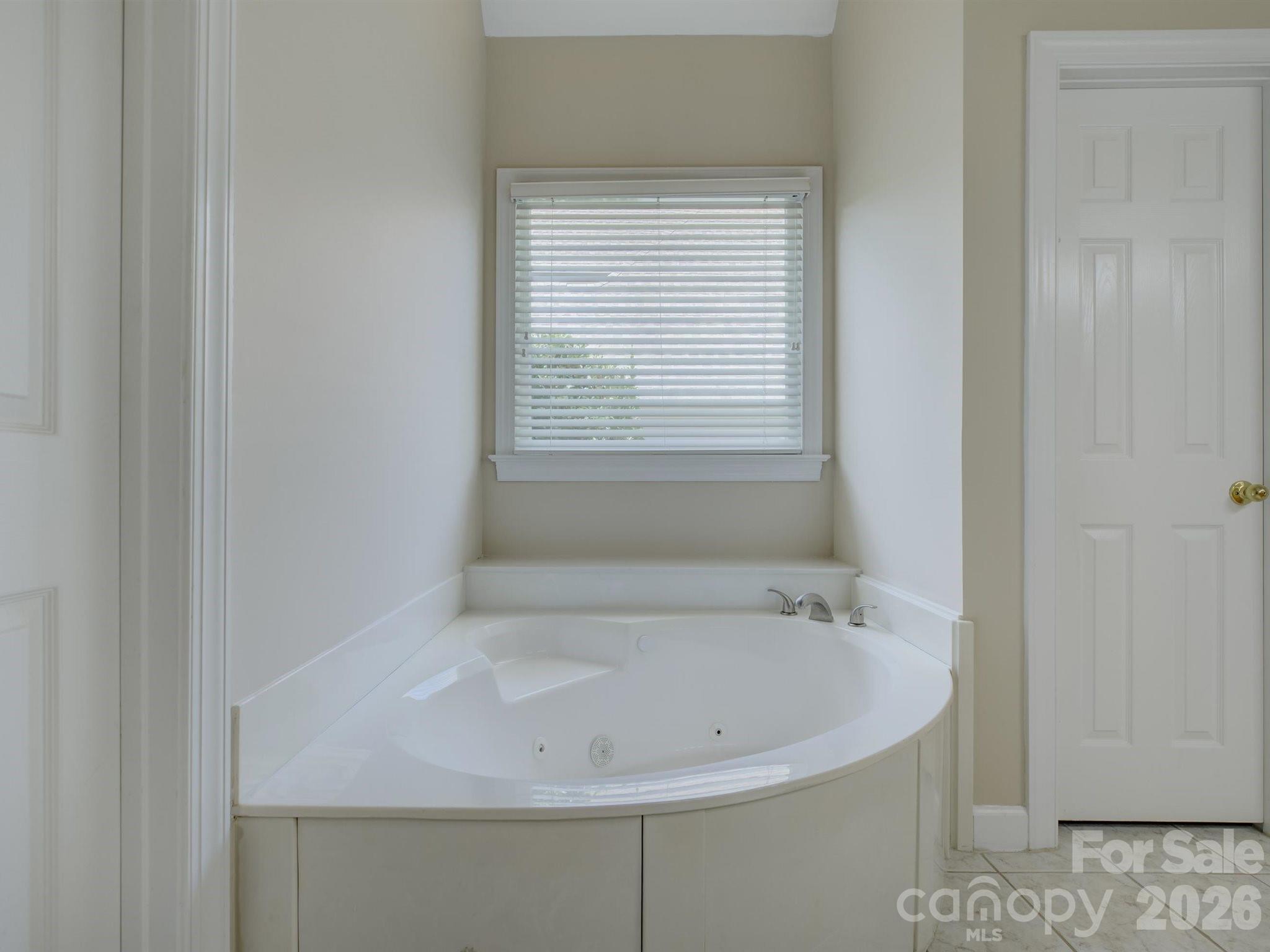 10119 Victoria Mill Court — Charlotte