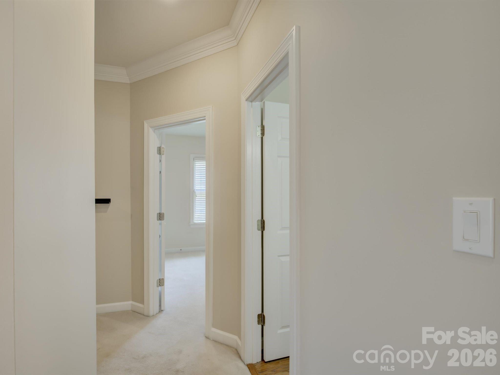 10119 Victoria Mill Court — Charlotte