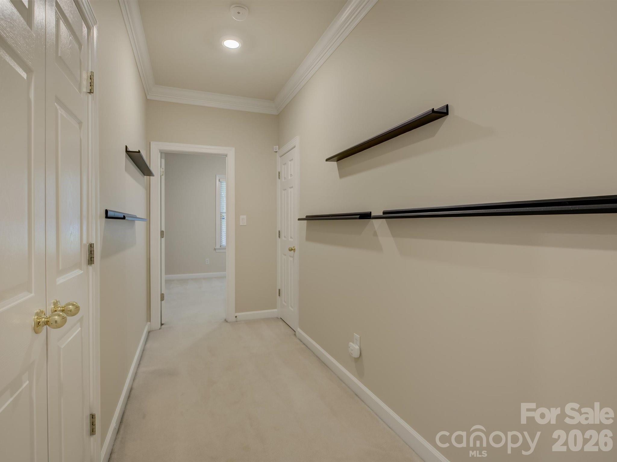10119 Victoria Mill Court — Charlotte