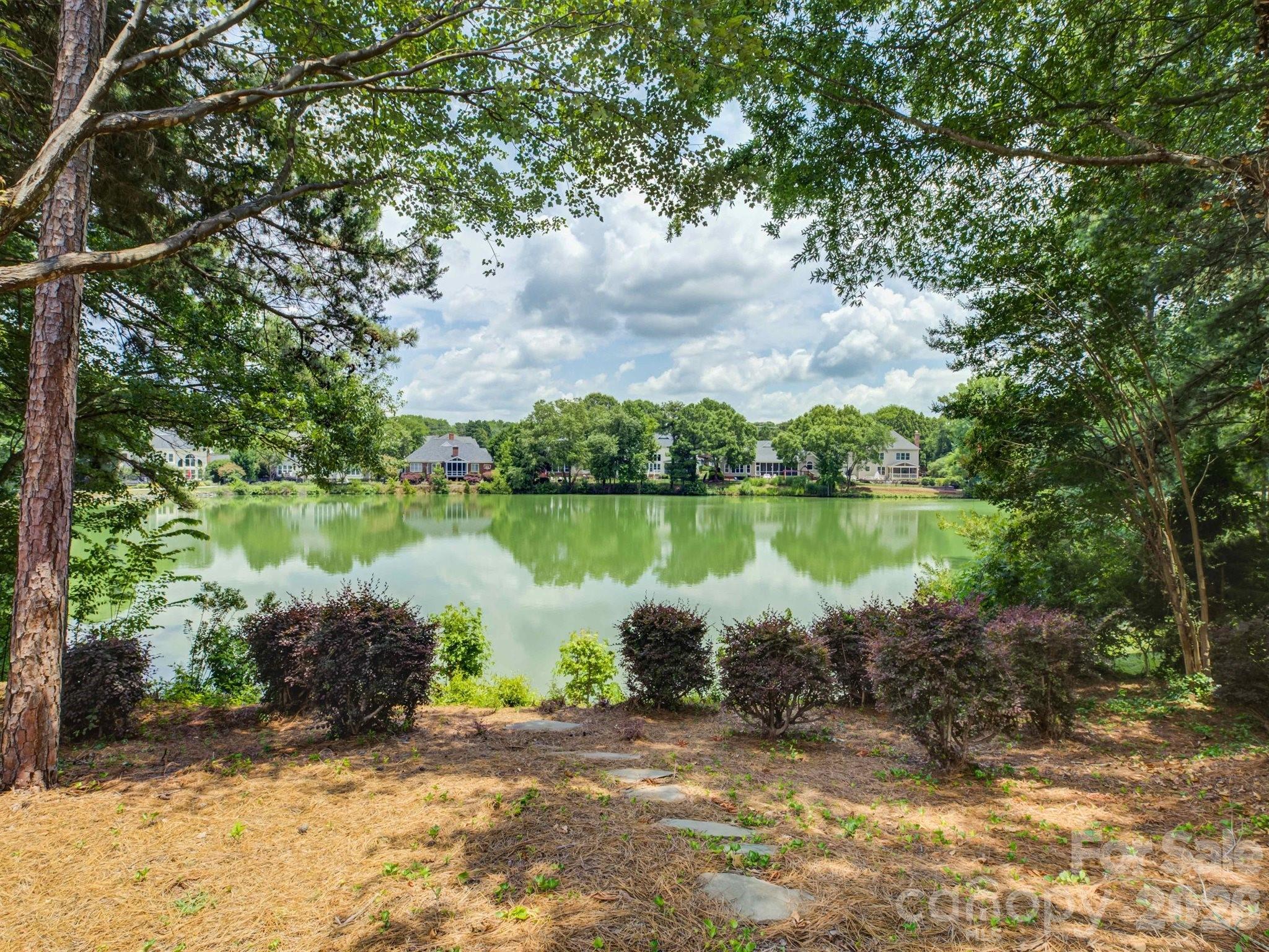 10119 Victoria Mill Court — Charlotte