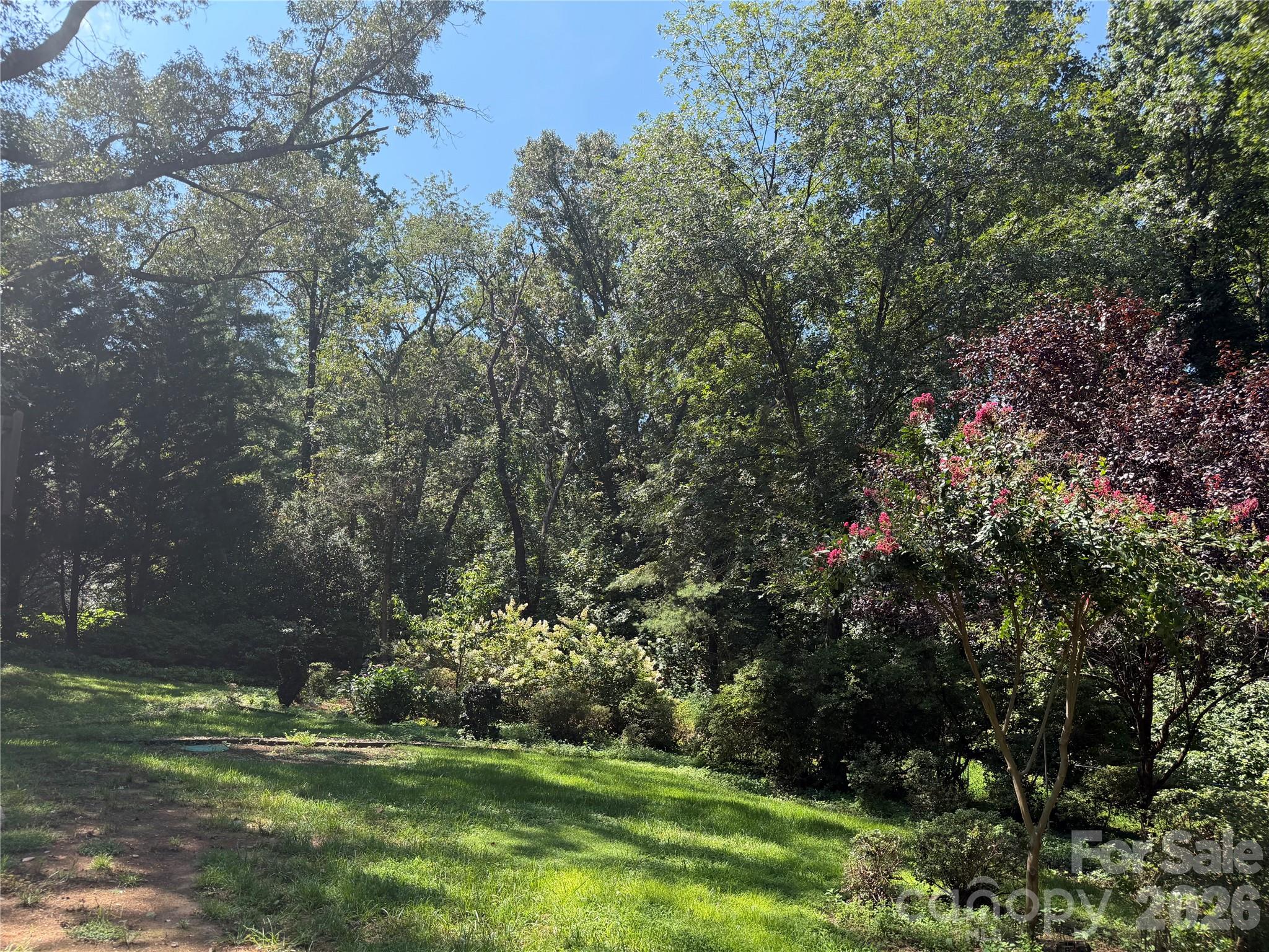 136 Mimosa Hills Drive — Morganton