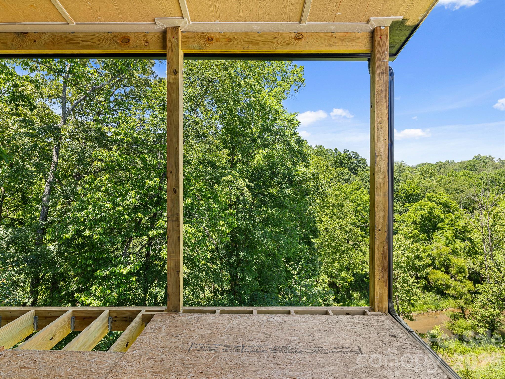 914 Newport Court — Asheville