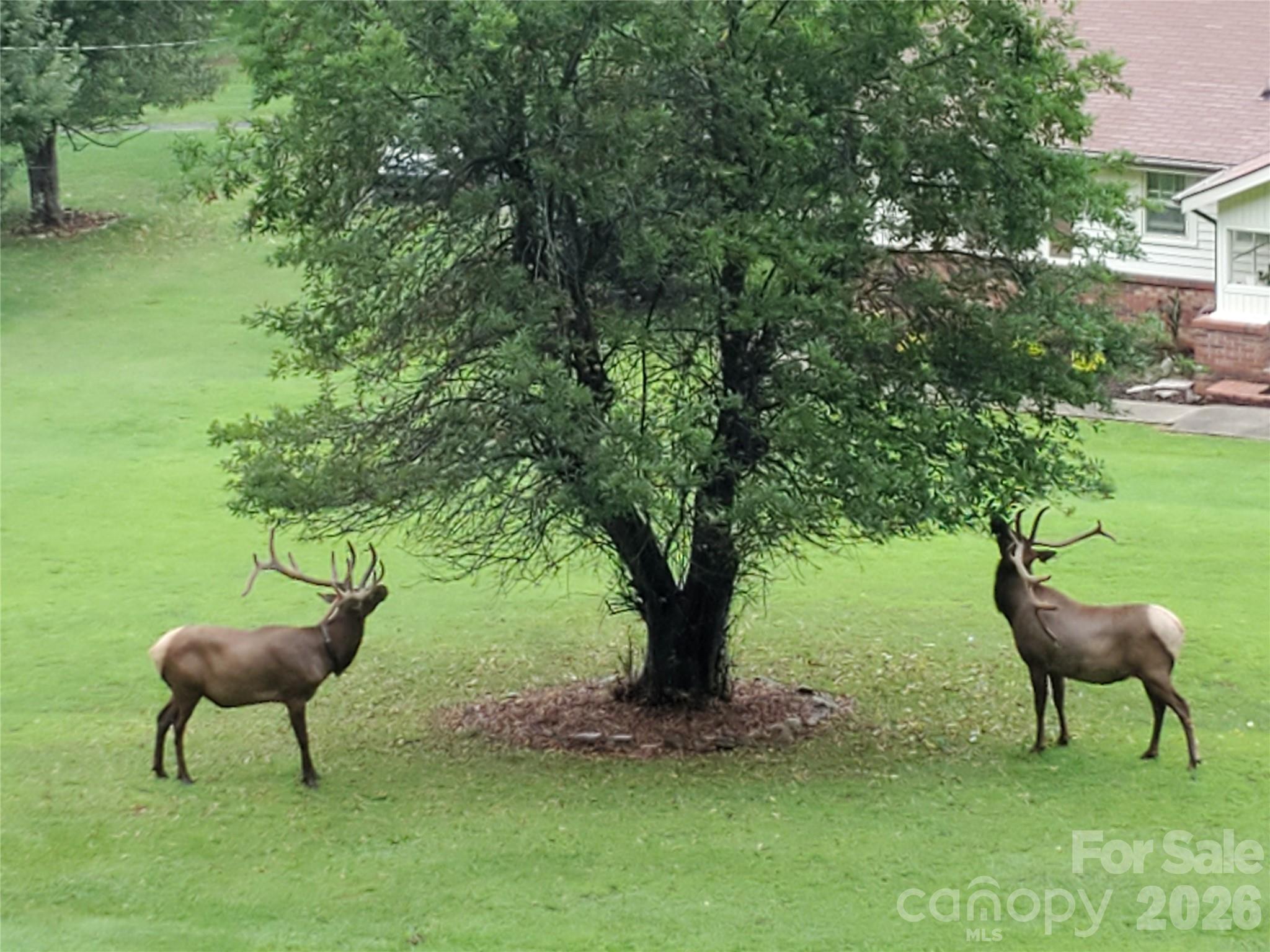 7 Higel Lane — Maggie Valley