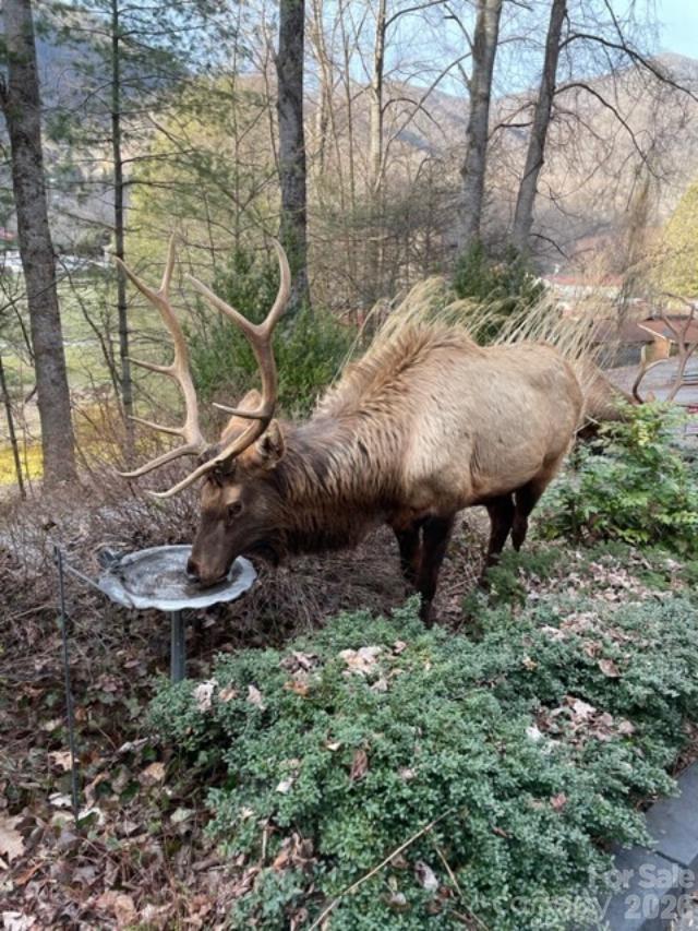 7 Higel Lane — Maggie Valley