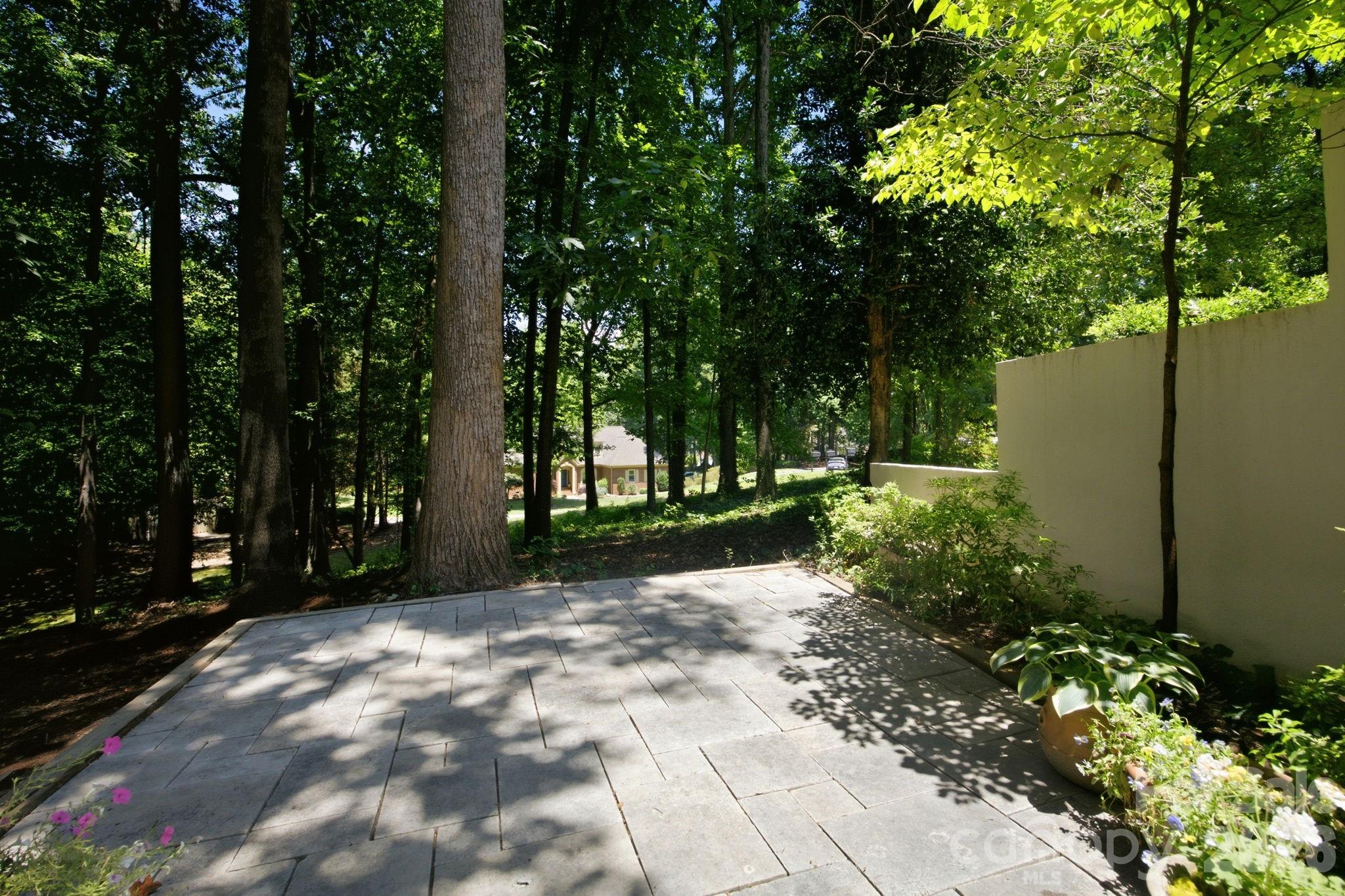 20011 Chapel Point Lane — Cornelius