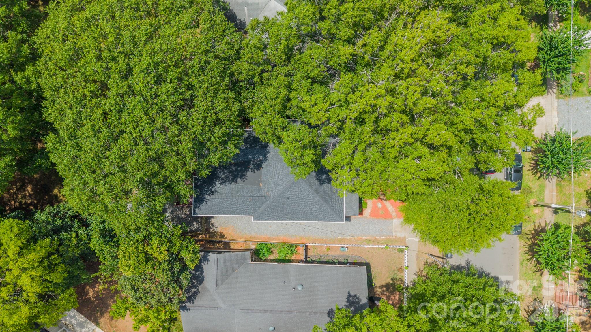219 W Park Avenue — Charlotte